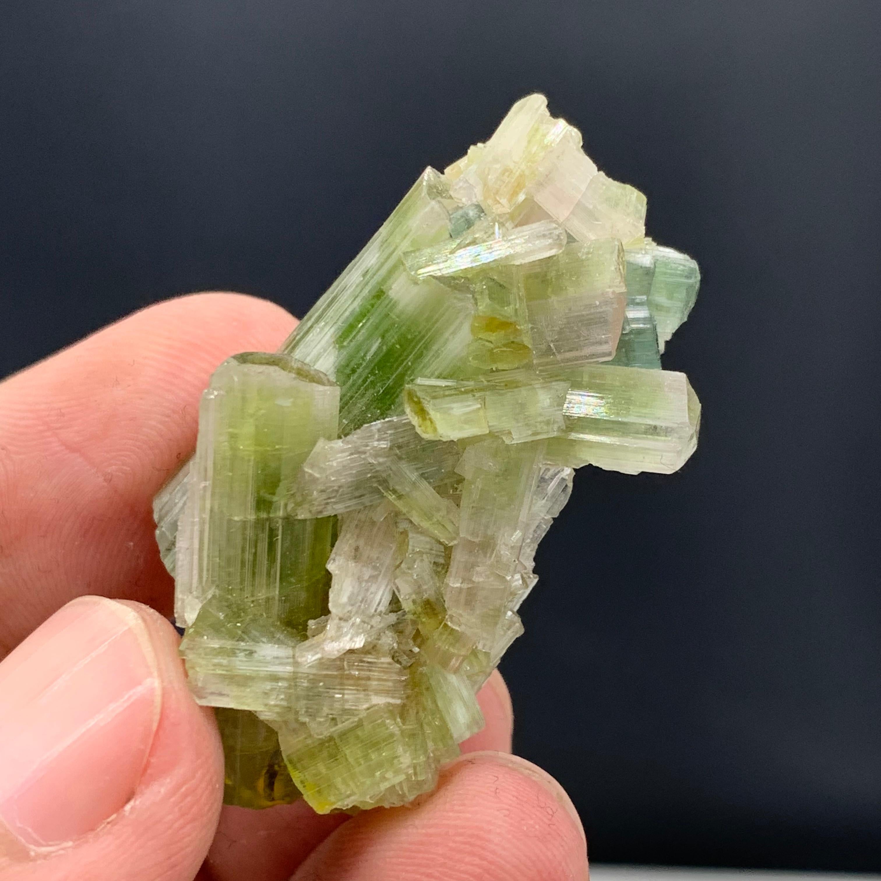 60.05 Carat Glamorous Tourmaline Crystals Cluster From Afghanistan For Sale 10