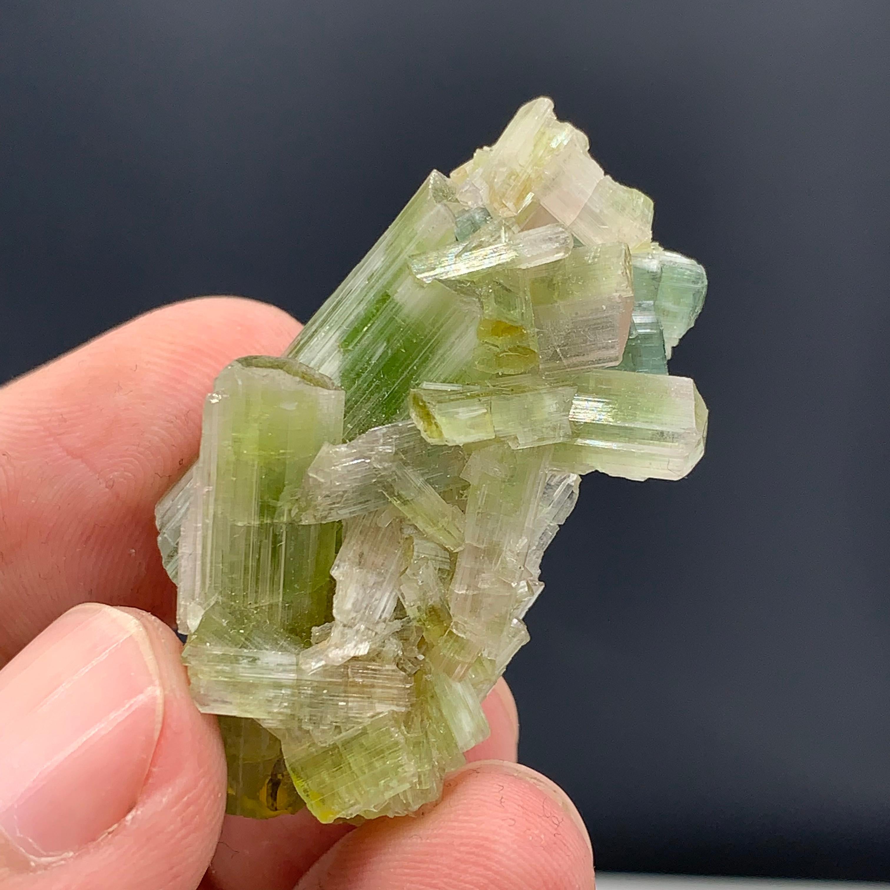 60.05 Carat Glamorous Tourmaline Crystals Cluster From Afghanistan  For Sale 11