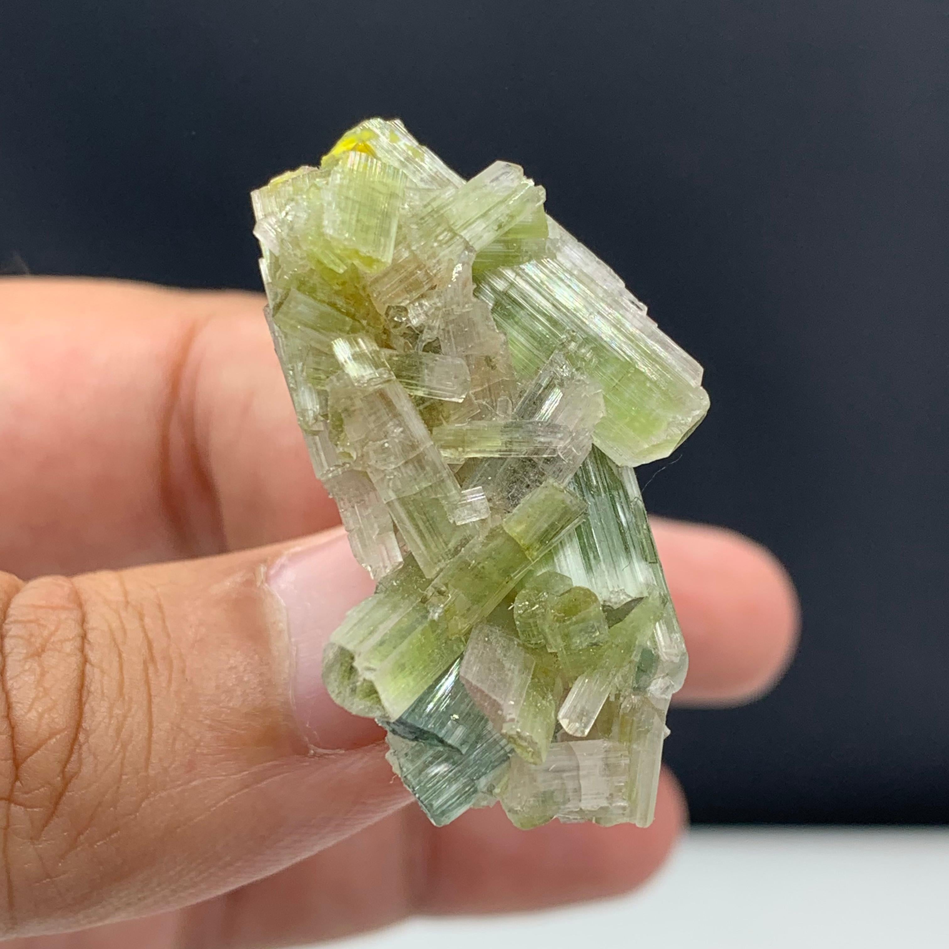 60.05 Carat Glamorous Tourmaline Crystals Cluster From Afghanistan 
Weight: 60.05 Carat 
Dimension: 4.1 x 2.2 x 10.4 Cm 
Origin: Afghanistan 

Tourmaline is a crystalline silicate mineral group in which boron is compounded with elements such as