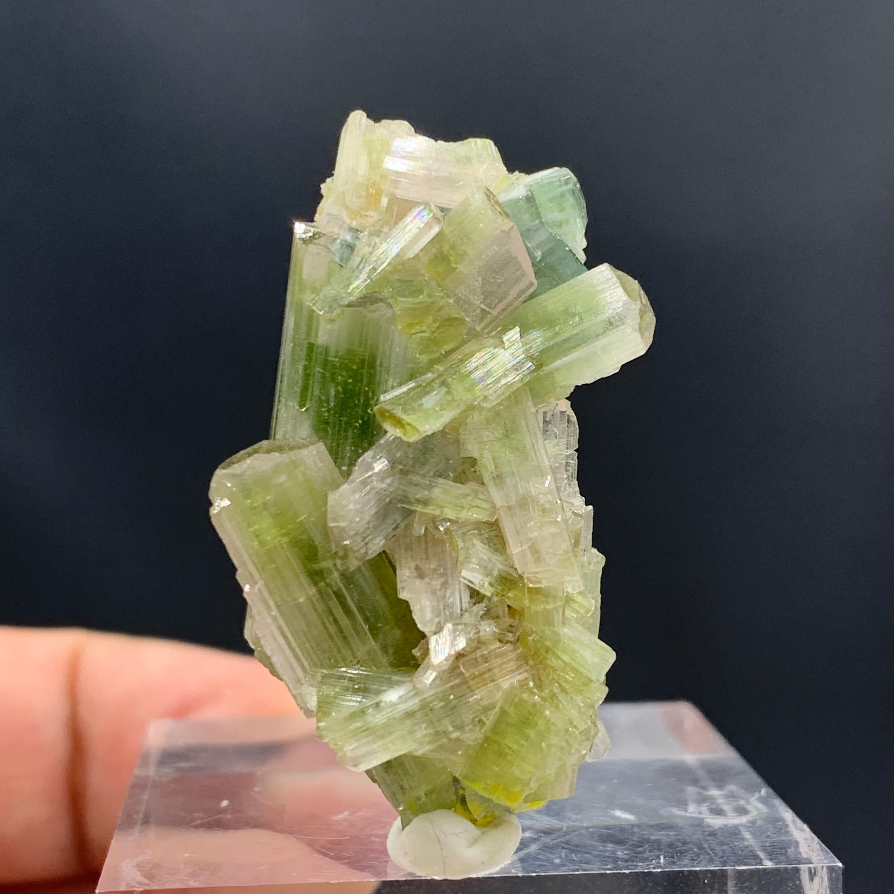 Adam Style 60.05 Carat Glamorous Tourmaline Crystals Cluster From Afghanistan  For Sale