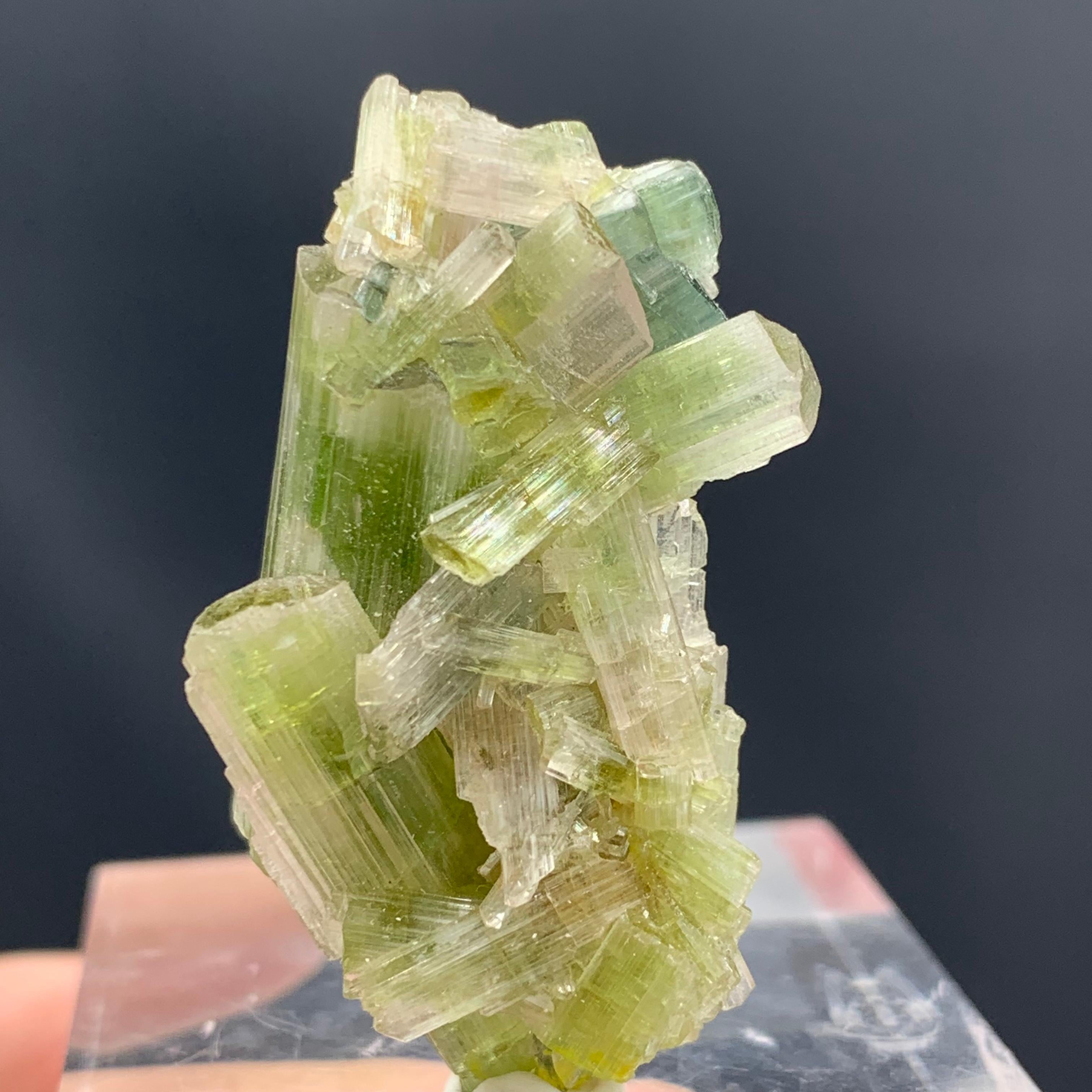 60.05 Carat Glamorous Tourmaline Crystals Cluster From Afghanistan In Good Condition For Sale In Peshawar, PK