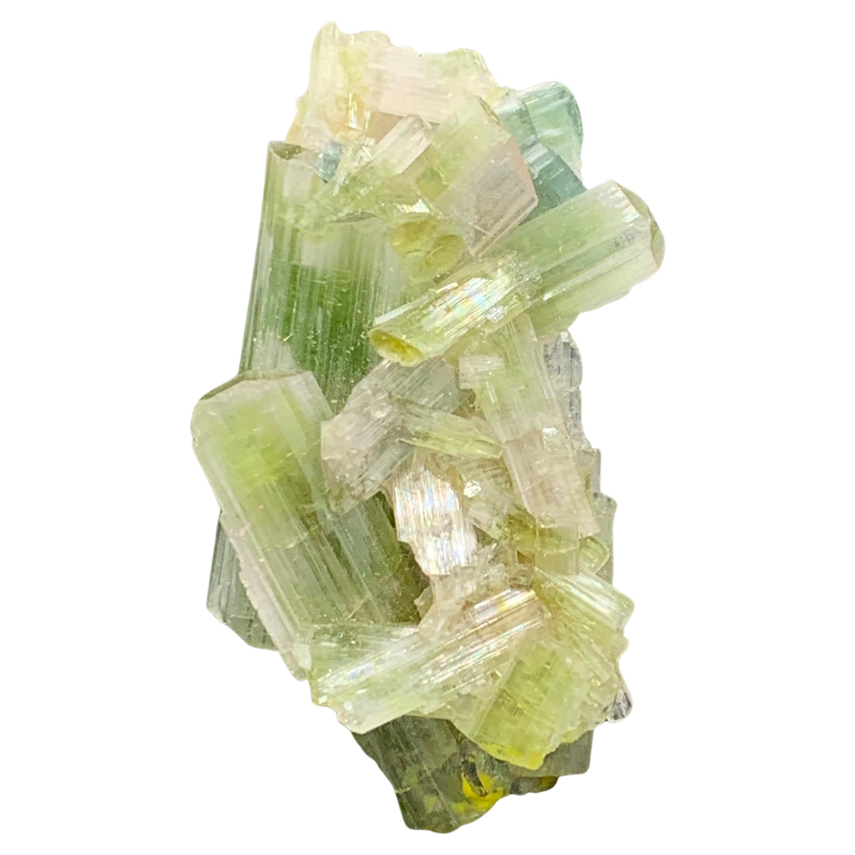 60.05 Carat Glamorous Tourmaline Crystals Cluster From Afghanistan 
