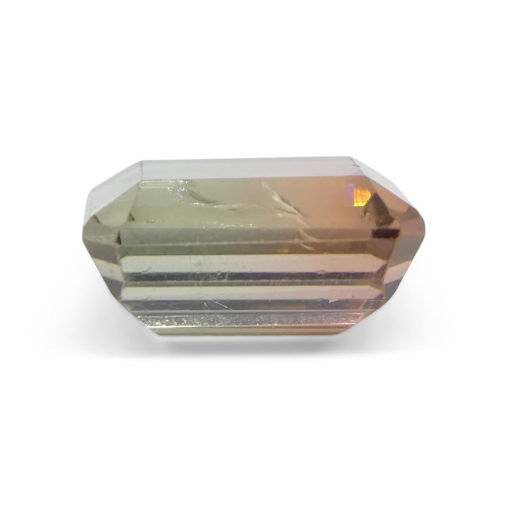 6.03ct Emerald Cut Green & Pink Bi-Colour Tourmaline from Brazil For Sale 4