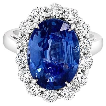 6.05 Carat Oval Cut Ceylon Sapphire with 1.40ctw Diamond Halo Cocktail Ring For Sale