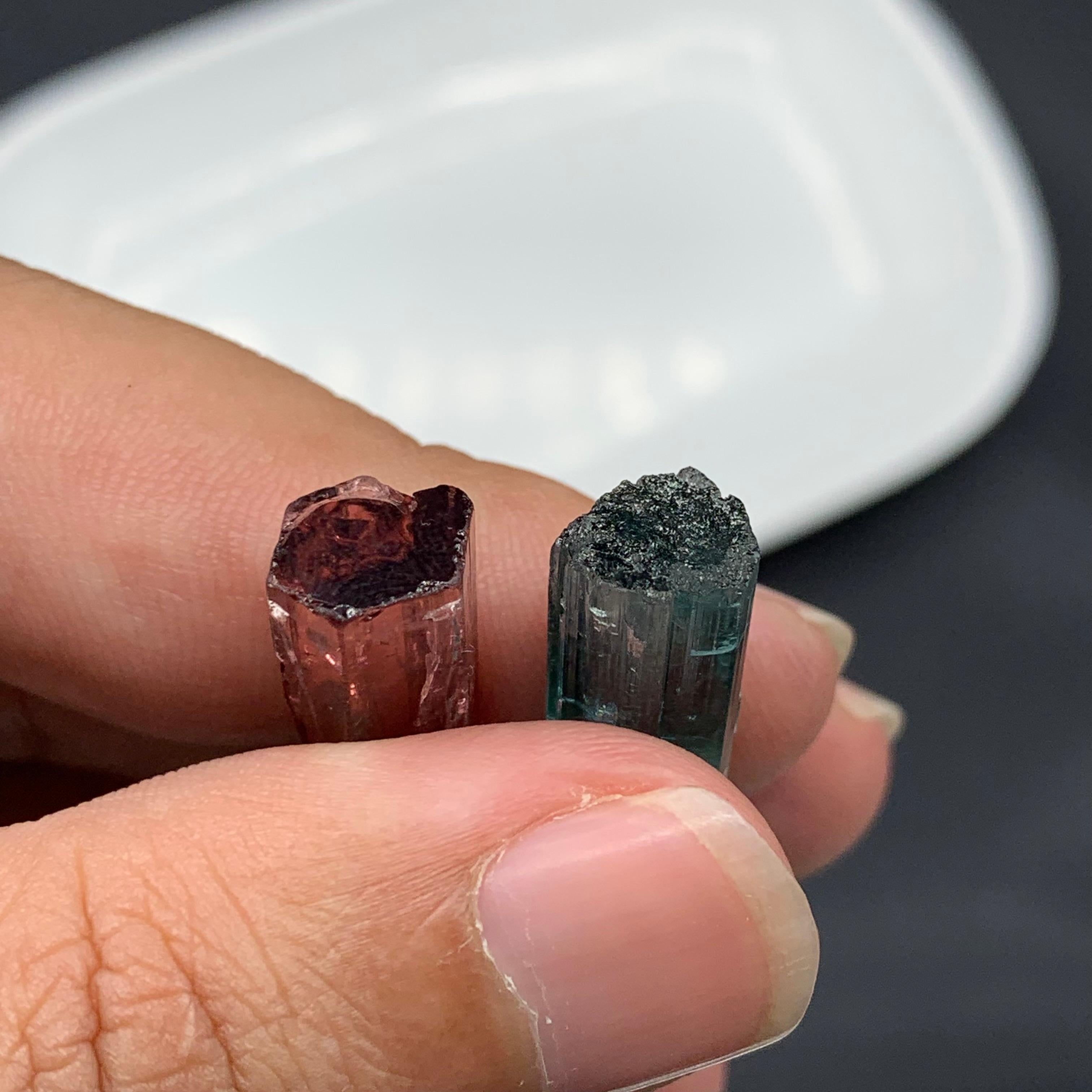 Production information:

Specimen type: Tourmaline Crystal Pair

Weight: 6.05 Grams

Dimensions: Pink 21 x 7.8 x 7.3 Mm & Seafoam 22 x 9 x 8.6 Mm 

Treatment: None

Origin: Afghanistan 

Description: 

This specimen is a magnificent natural pink and