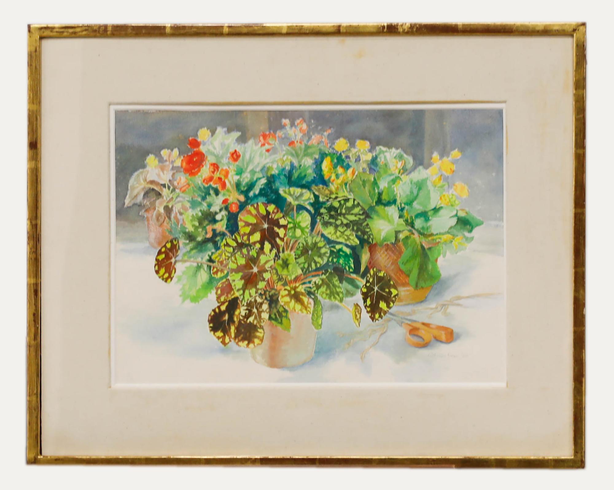 Catherine Dean (1905-1983) - Aquarelle encadrée du 20e siècle, Begonia en pot