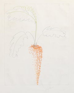 Carota, disegno a matita e pennarello Modern Color di Van Amerige