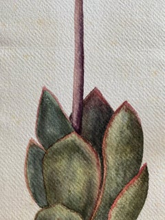 Fine Antique British Botannical Flower Watercolour Painting, circa 1900's