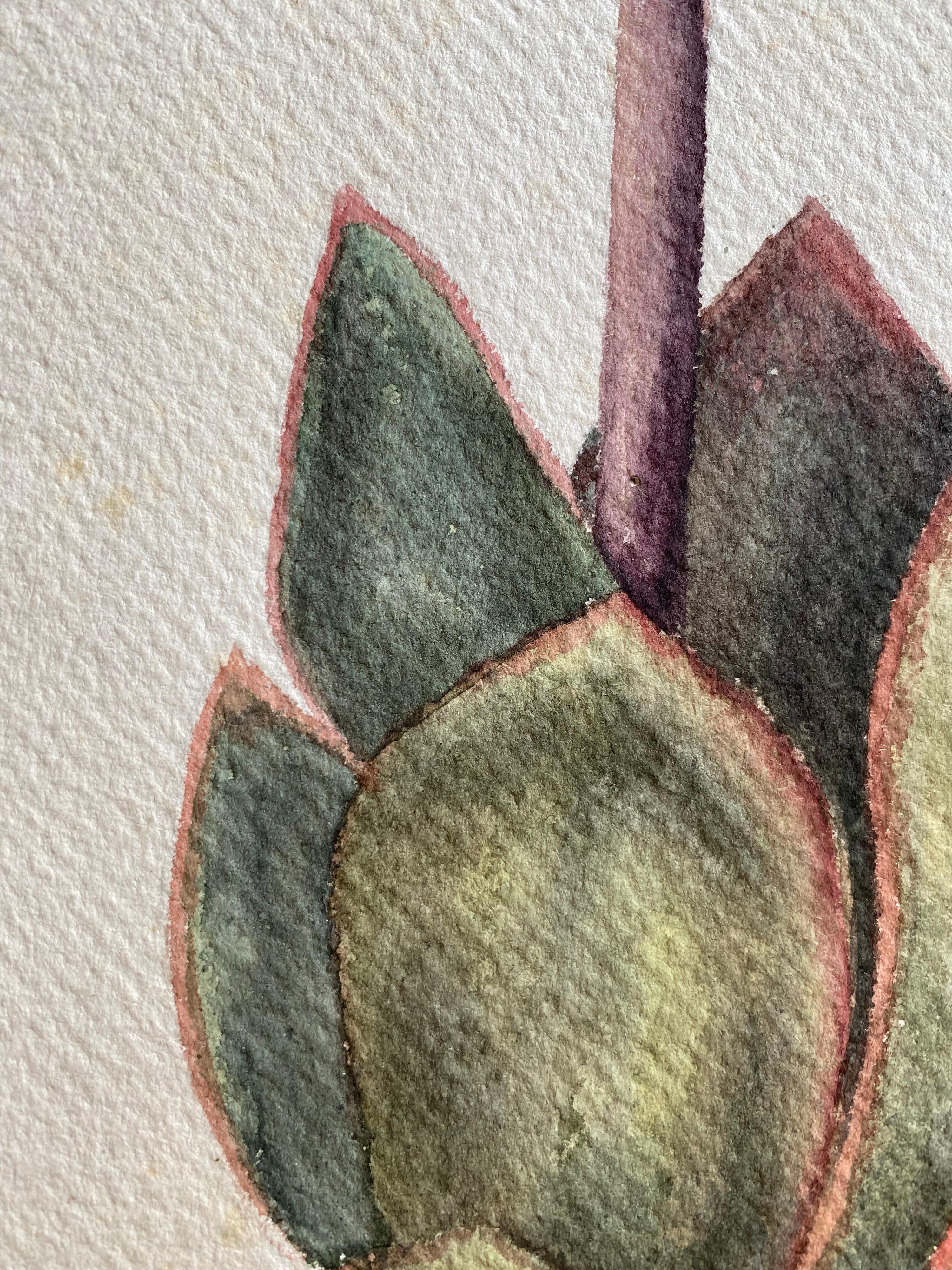 Fine Antique British Botannical Flower Watercolour Painting, circa 1900's - Victorian Art by Unknown