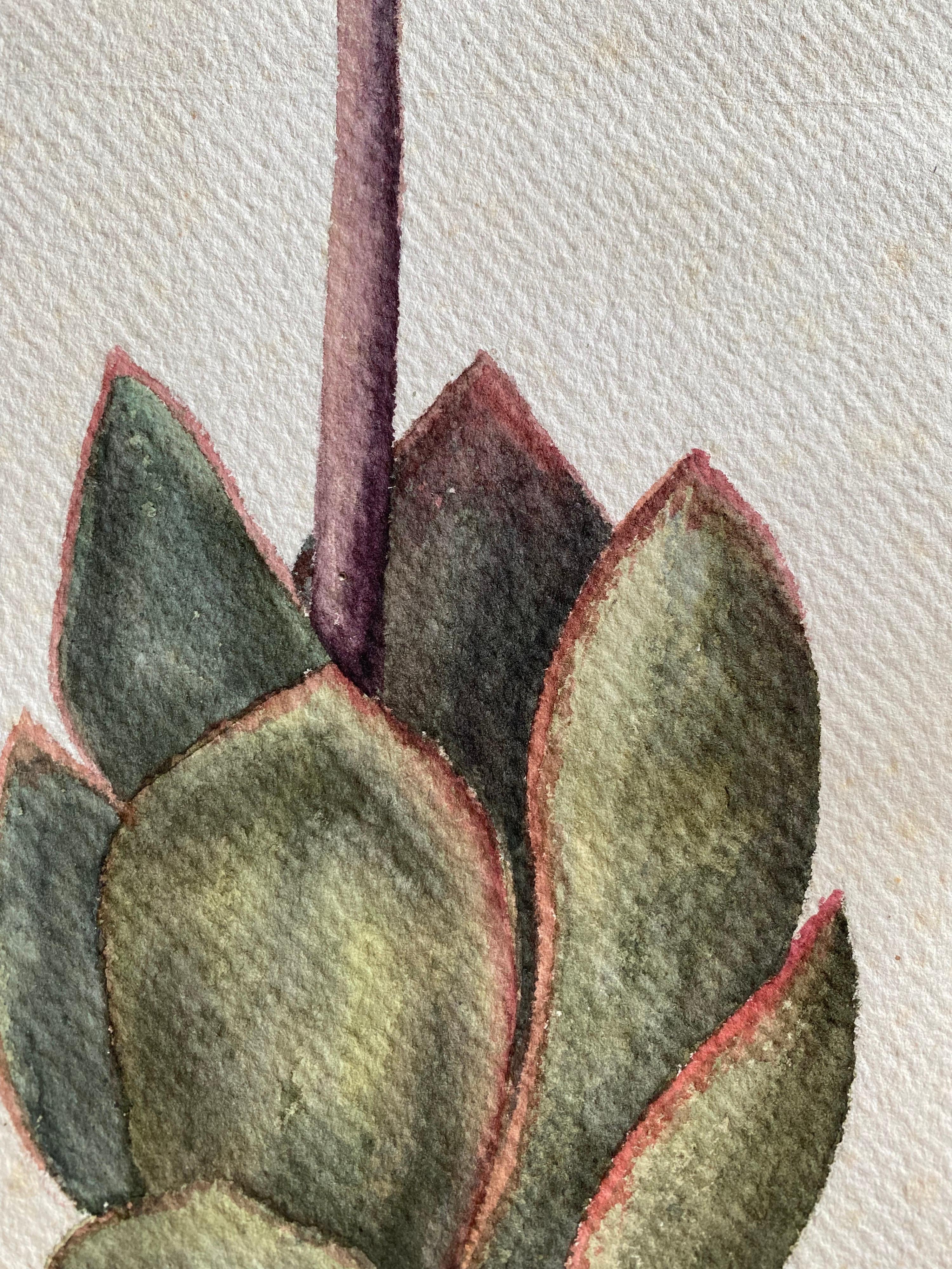 Fine Antique British Botannical Flower Watercolour Painting, circa 1900's For Sale 3