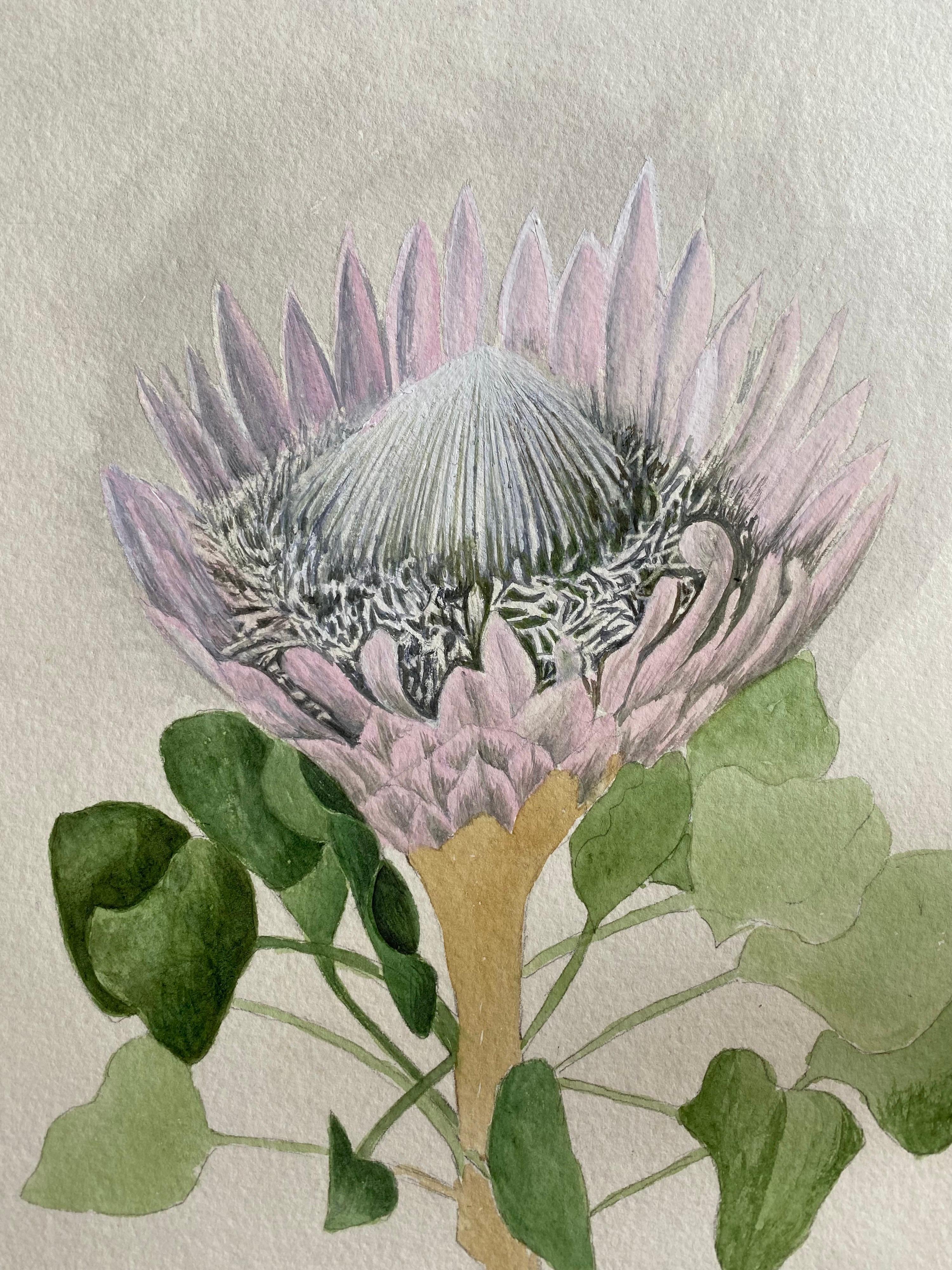 Fine Antique British Botannical Watercolour Painting, circa 1900's Beautiful - Art by Unknown