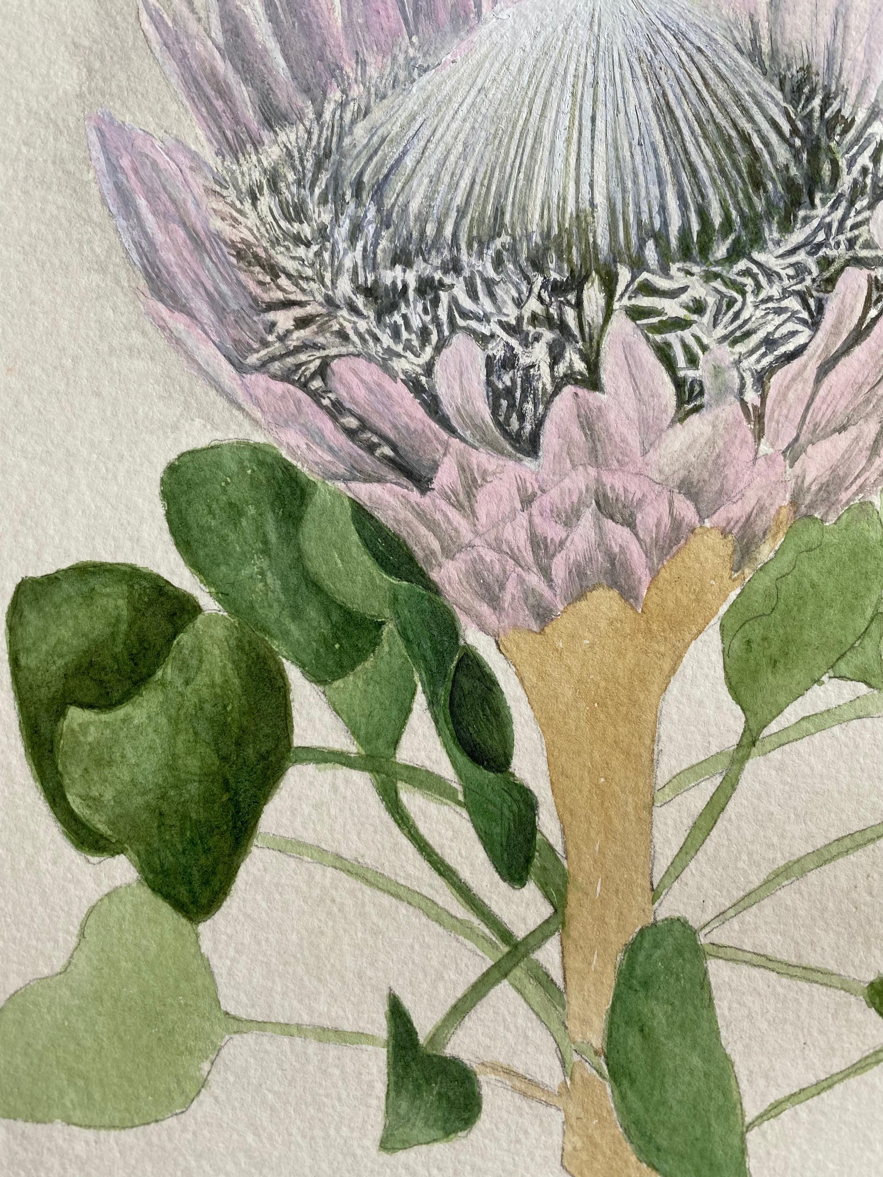 Fine Antique British Botannical Watercolour Painting, circa 1900's Beautiful - Beige Still-Life by Unknown