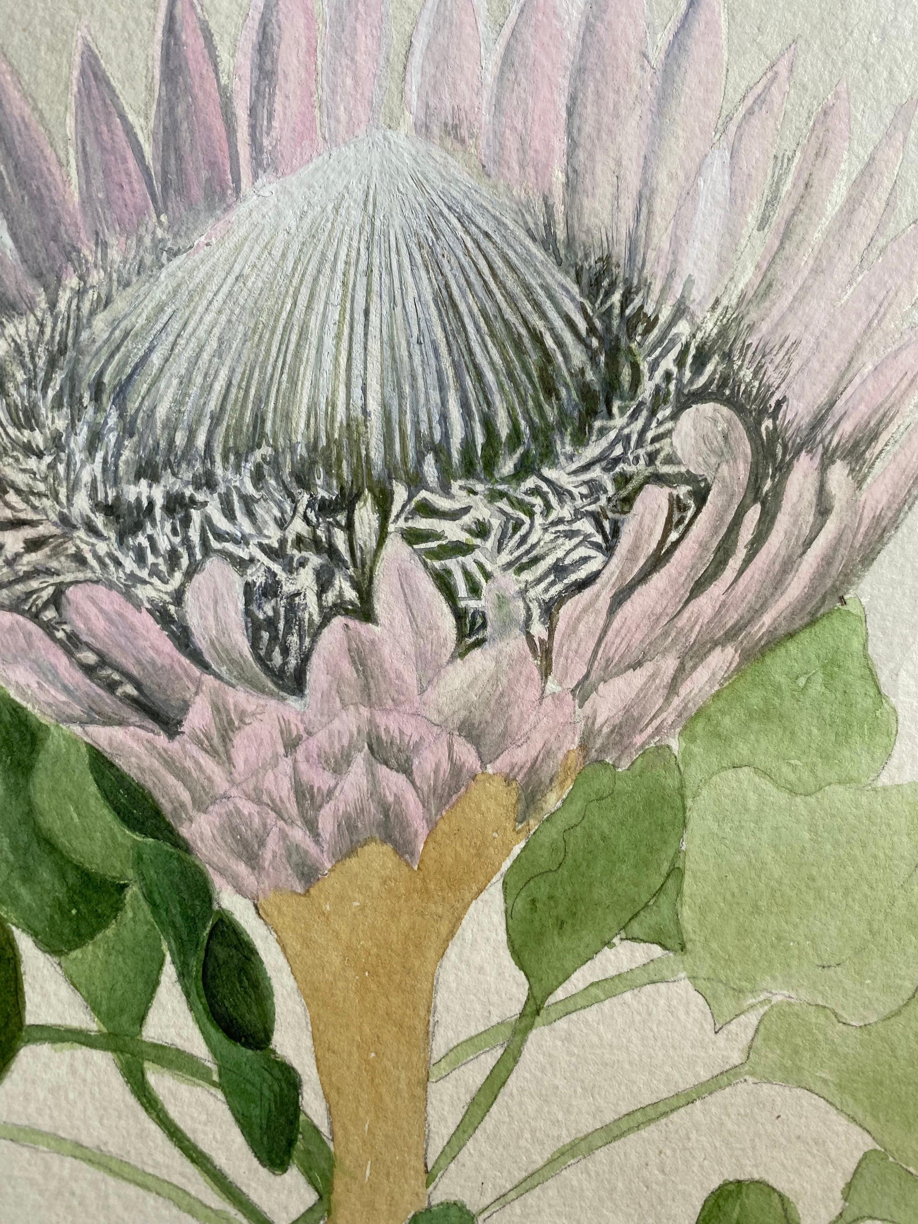 Fine Antique British Botannical Watercolour Painting, circa 1900's Beautiful For Sale 2