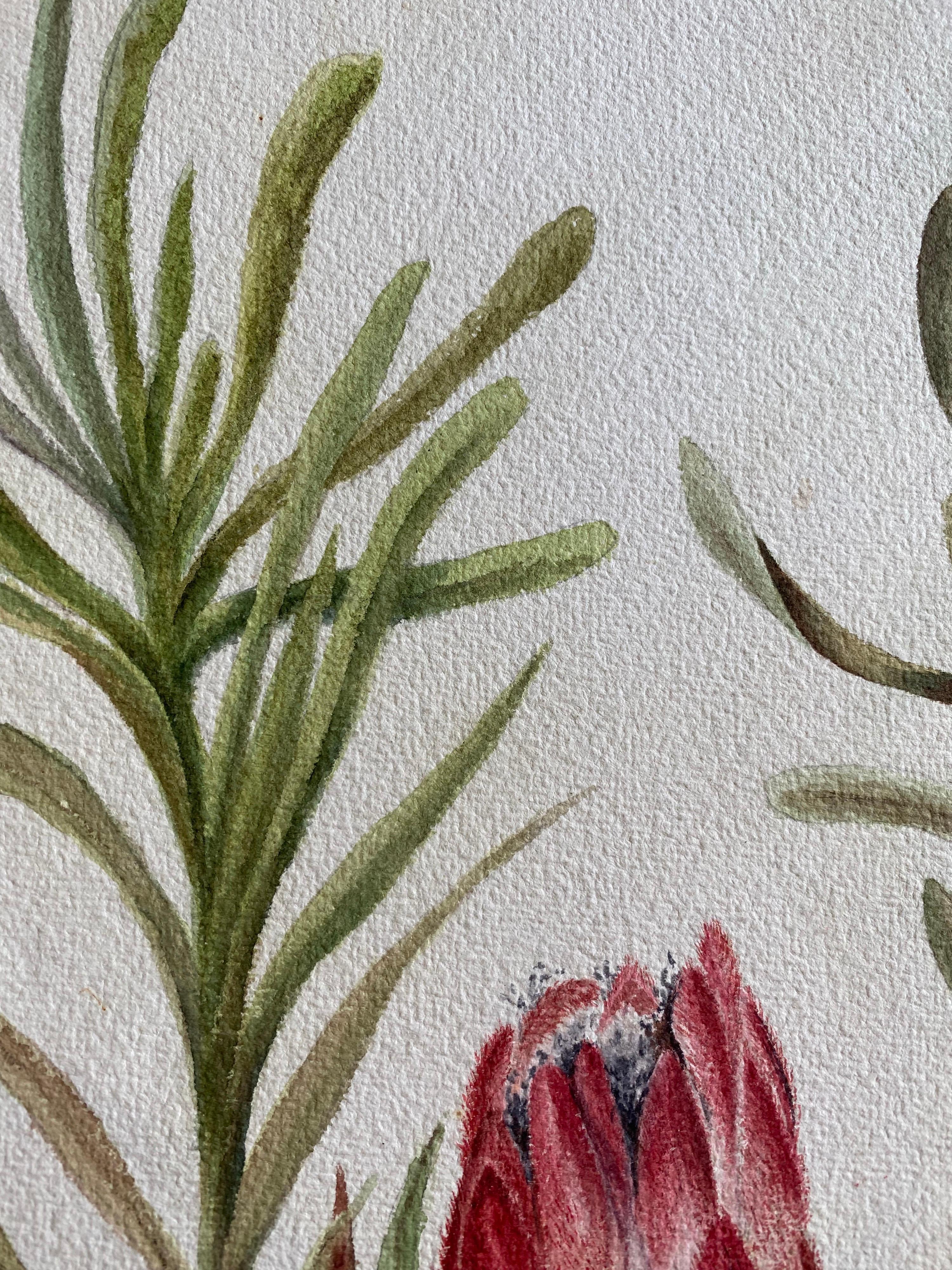 Fine Antique British Botannical Watercolour Painting, circa 1900's Pink & Green For Sale 1