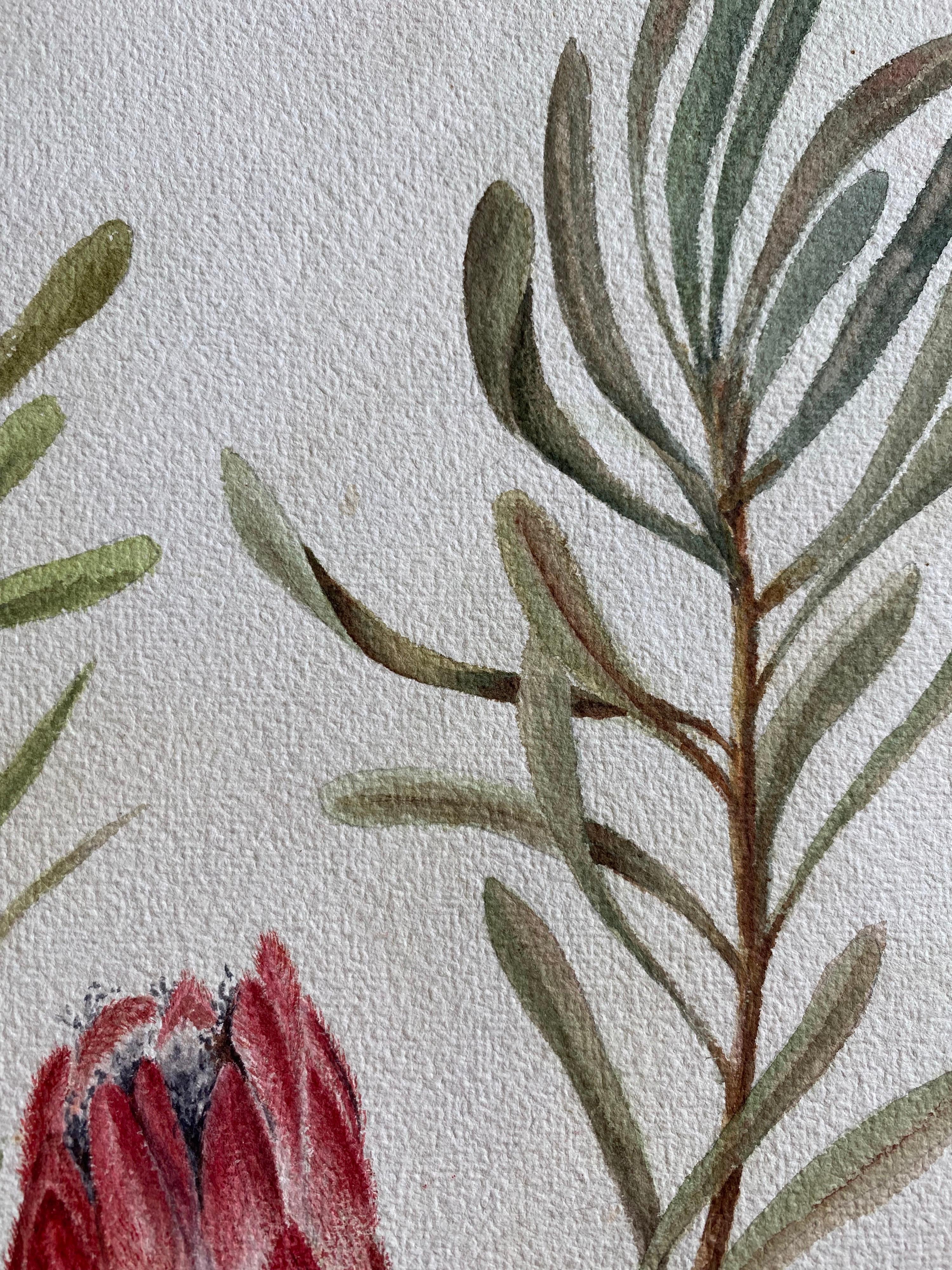 Fine Antique British Botannical Watercolour Painting, circa 1900's Pink & Green For Sale 2