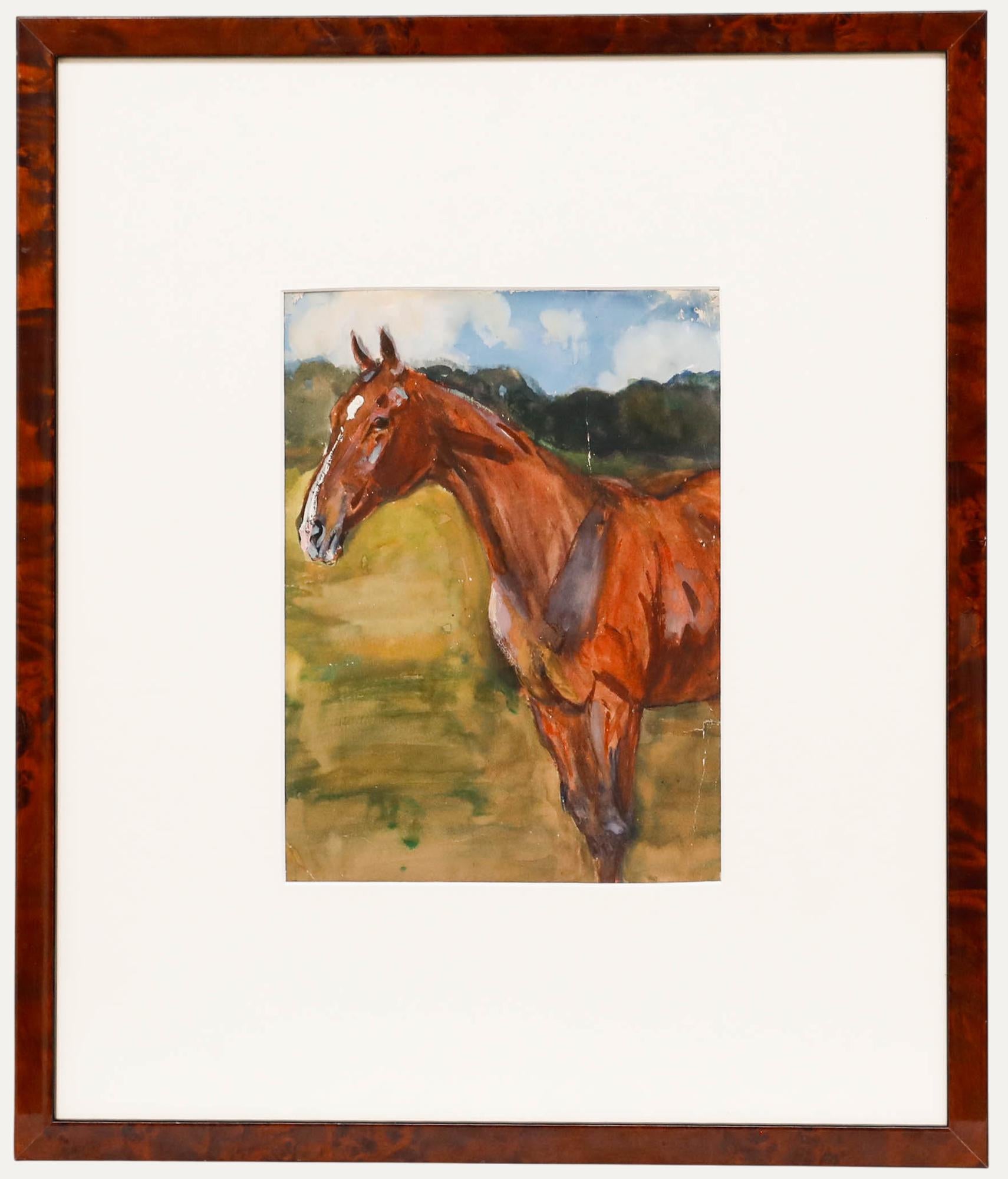 Unknown Animal Art - 20th Century Gouache - Majestic Steed