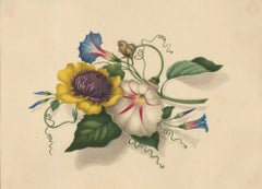 Sophia Katherine Charleton (1789-1844) - Watercolour, Bloom with Butterfly