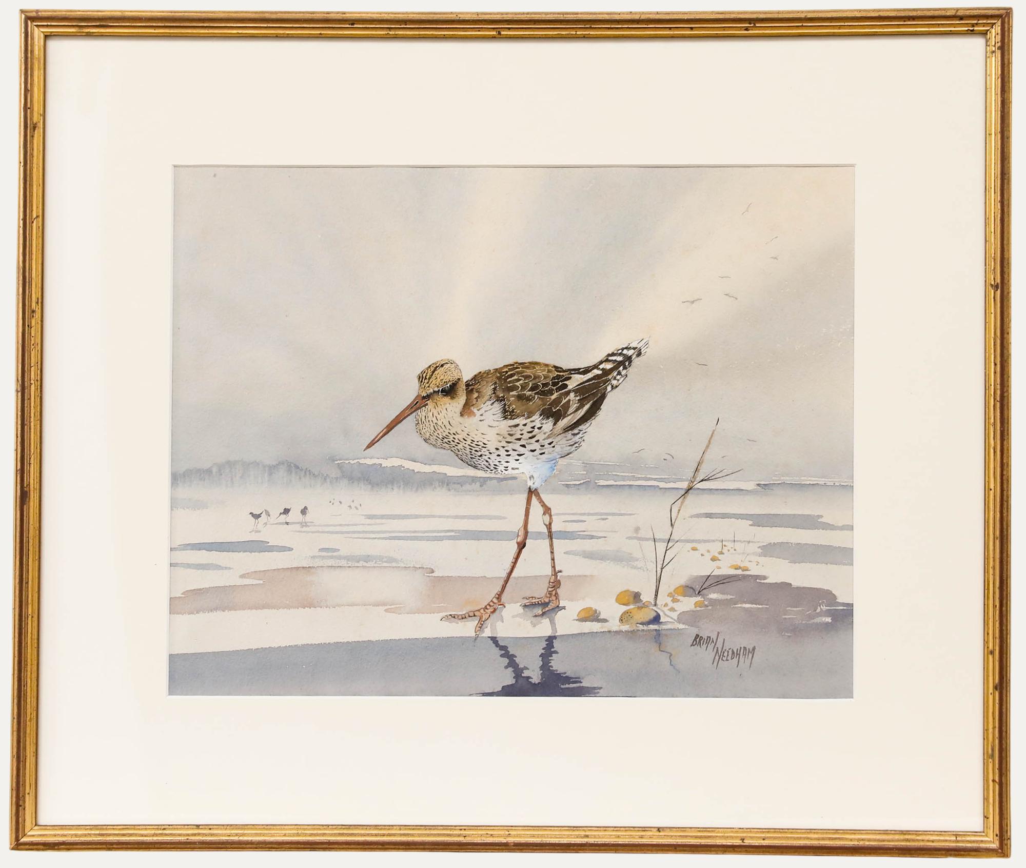 Animal Art Unknown - Brian Needham - Aquarelle encadrée du 20e siècle, Barge à queue noire