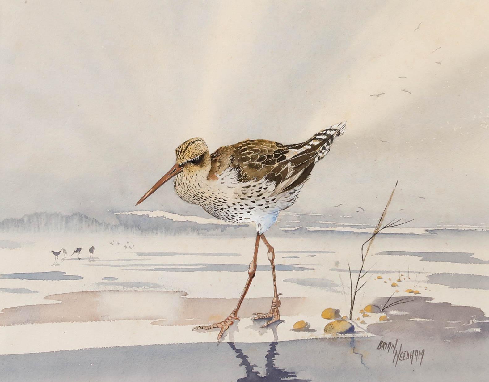 Brian Needham - Aquarelle encadrée du 20e siècle, Barge à queue noire - Art de Unknown