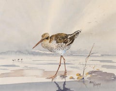 Brian Needham - Gerahmtes Aquarell des 20. Jahrhunderts, Uferschnepfe