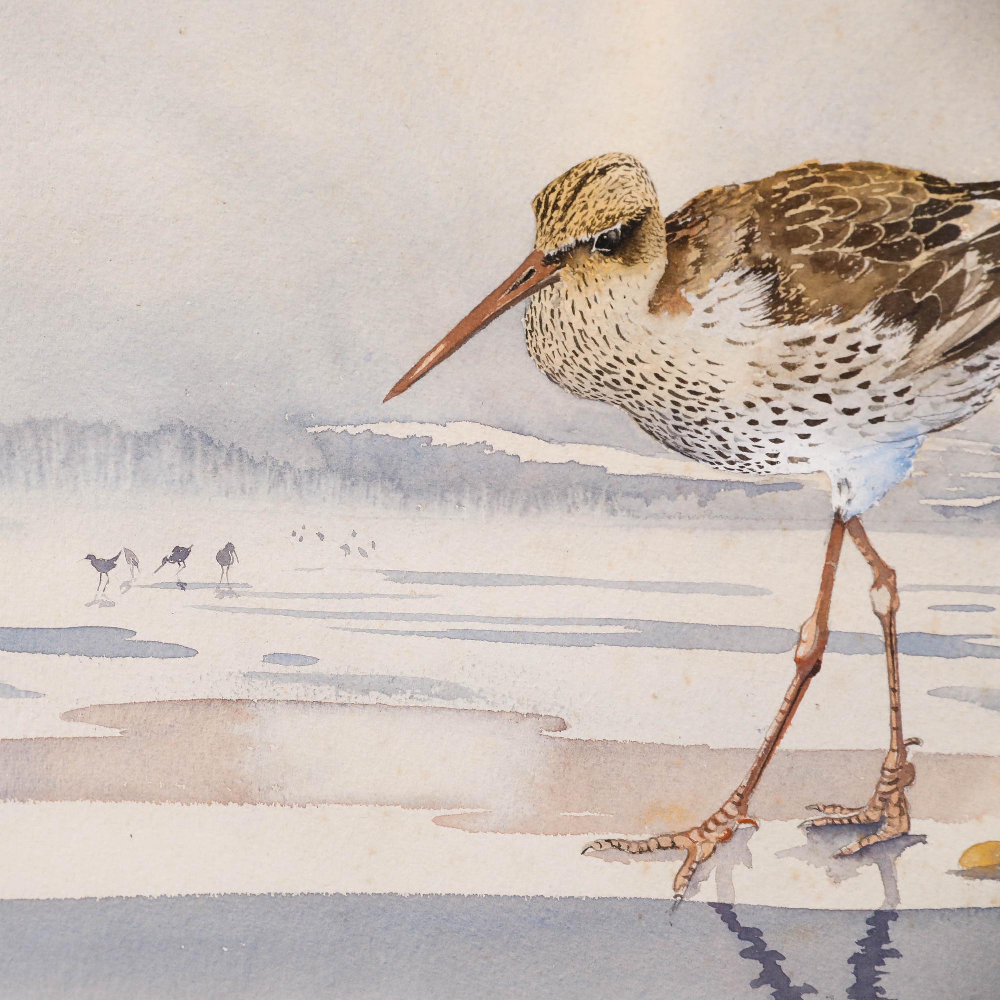 Brian Needham. Aquarelle originale. Barge à queue noire pataugeant dans un paysage. Monté élégamment dans un cadre à effet doré. Signé en bas à droite. Sur papier aquarelle. Taille de l'image : 31,5 x 40,5 cm.