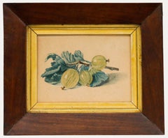 Framed Late 19th Century Watercolour - Still Life of Gooseberries
