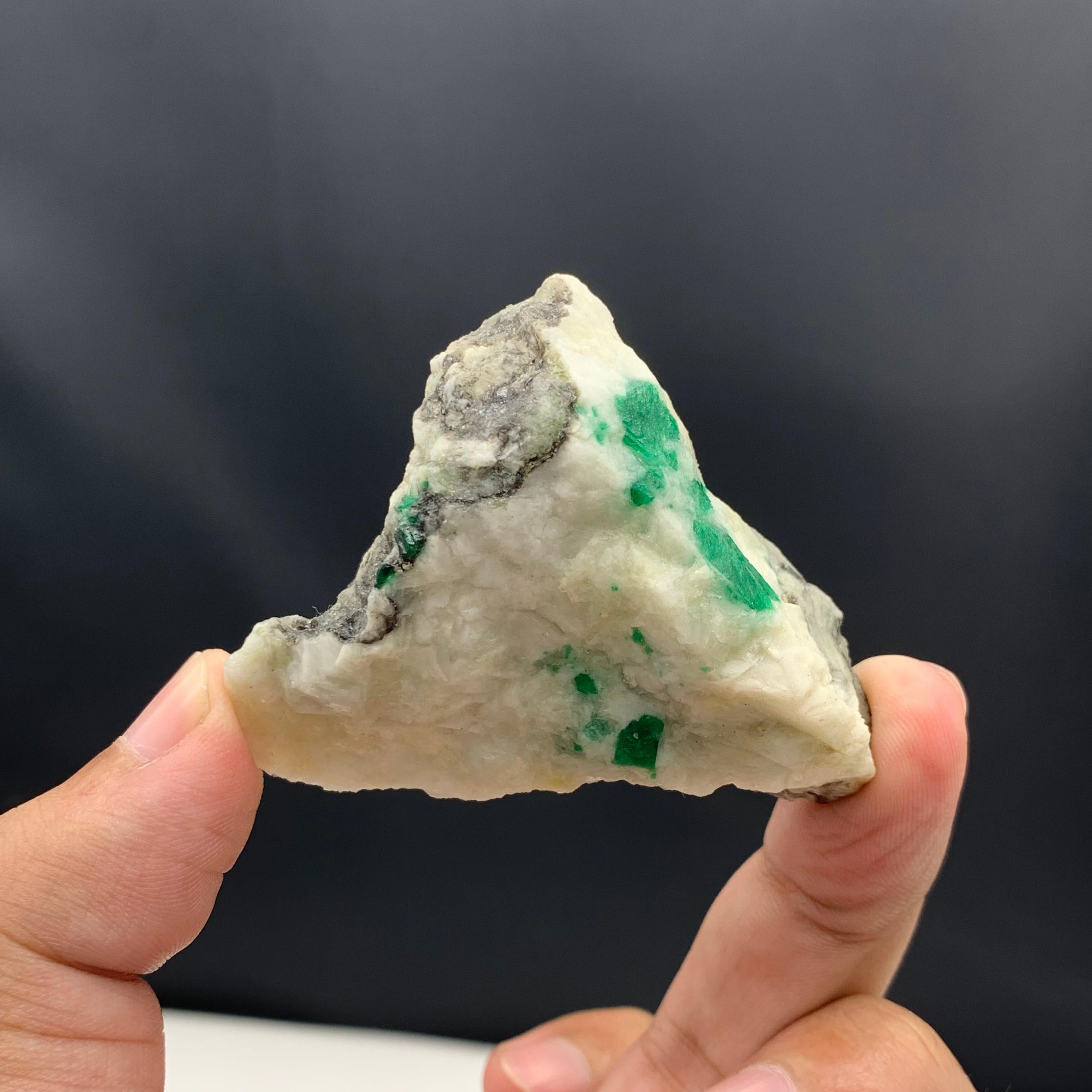 60,78 Gramm Erstaunliches Smaragd-Exemplar aus dem Swat-Tal, Pakistan  im Angebot 1