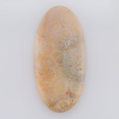 61 cts, Oval coral fossil cabochon