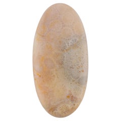 61 cts, Oval coral fossil cabochon