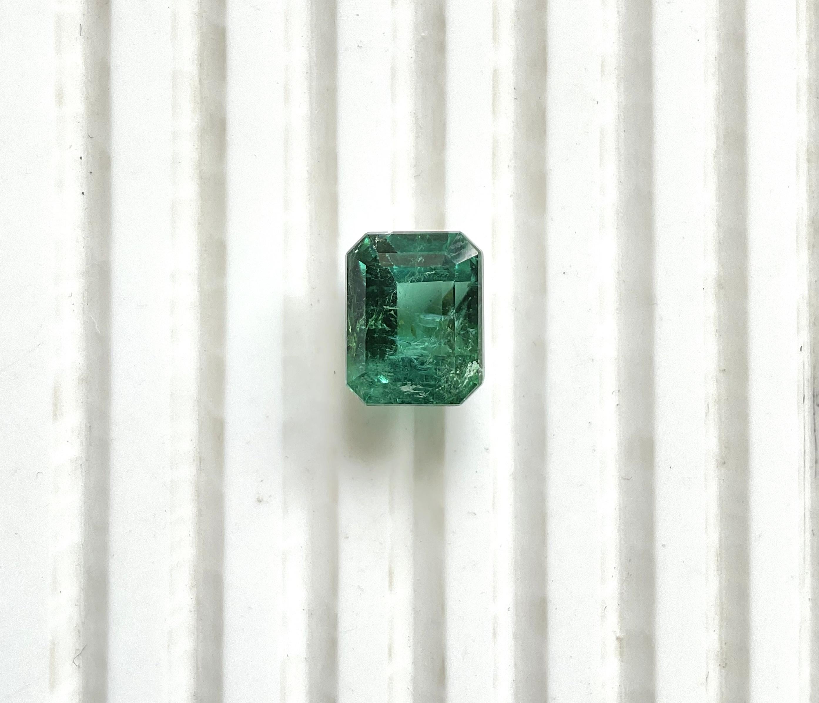 6.10 Karat grüner Turmalin achteckig facettiert geschliffener Stein Top Qualität Natürlicher Edelstein im Angebot 2