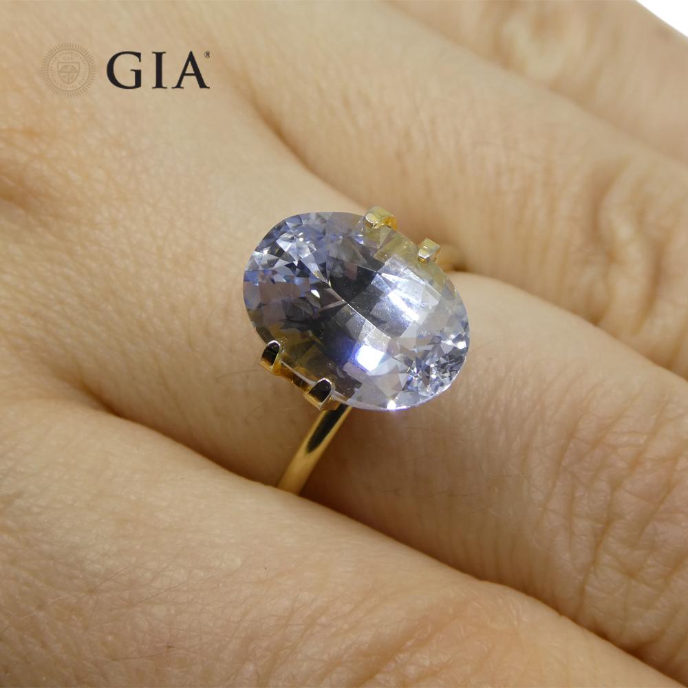 This is a stunning GIA Certified Sapphire 
    
The GIA report reads as follows: 
GIA Report Number: 6214961200  
Shape: Oval  
Cutting Style:   
Cutting Style: Crown: Modified Brilliant Cut  
Cutting Style: Pavilion: Step Cut  
Transparency: