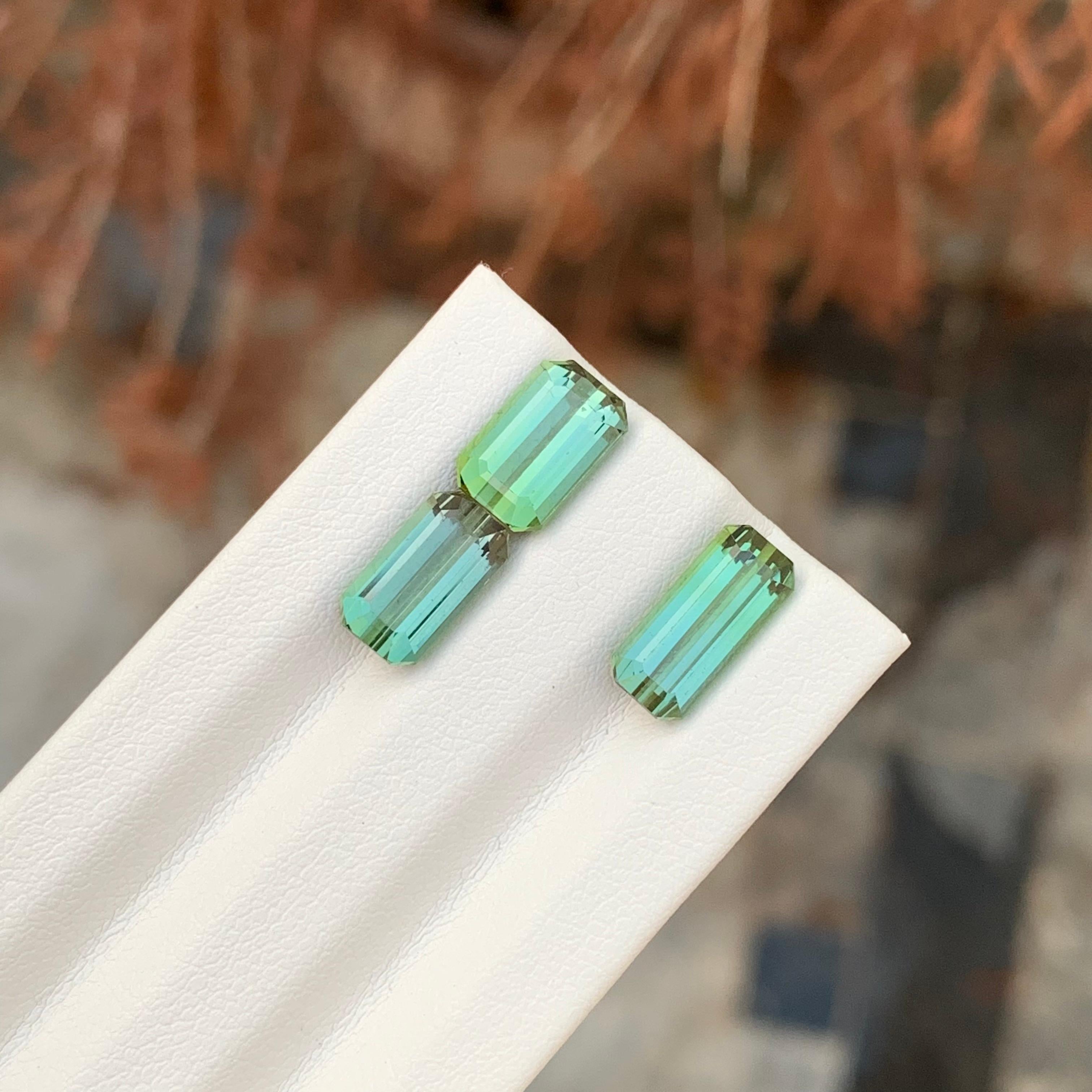 6.15 Carat Natural Faceted Green Tourmaline Emerald Shape Gemstone (Tourmaline verte à facettes en forme d'émeraude) en vente 4