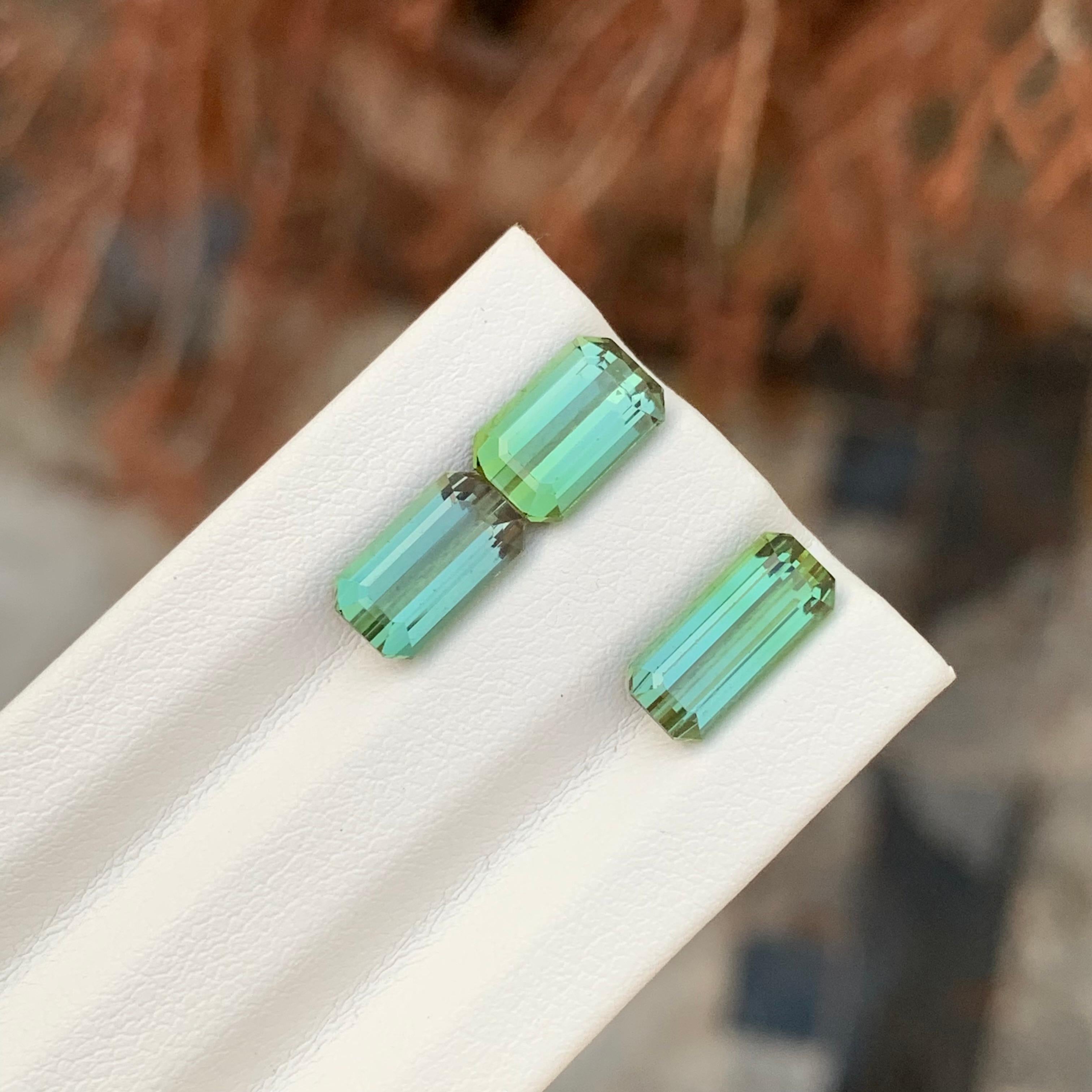 6.15 Carat Natural Faceted Green Tourmaline Emerald Shape Gemstone (Tourmaline verte à facettes en forme d'émeraude) en vente 5