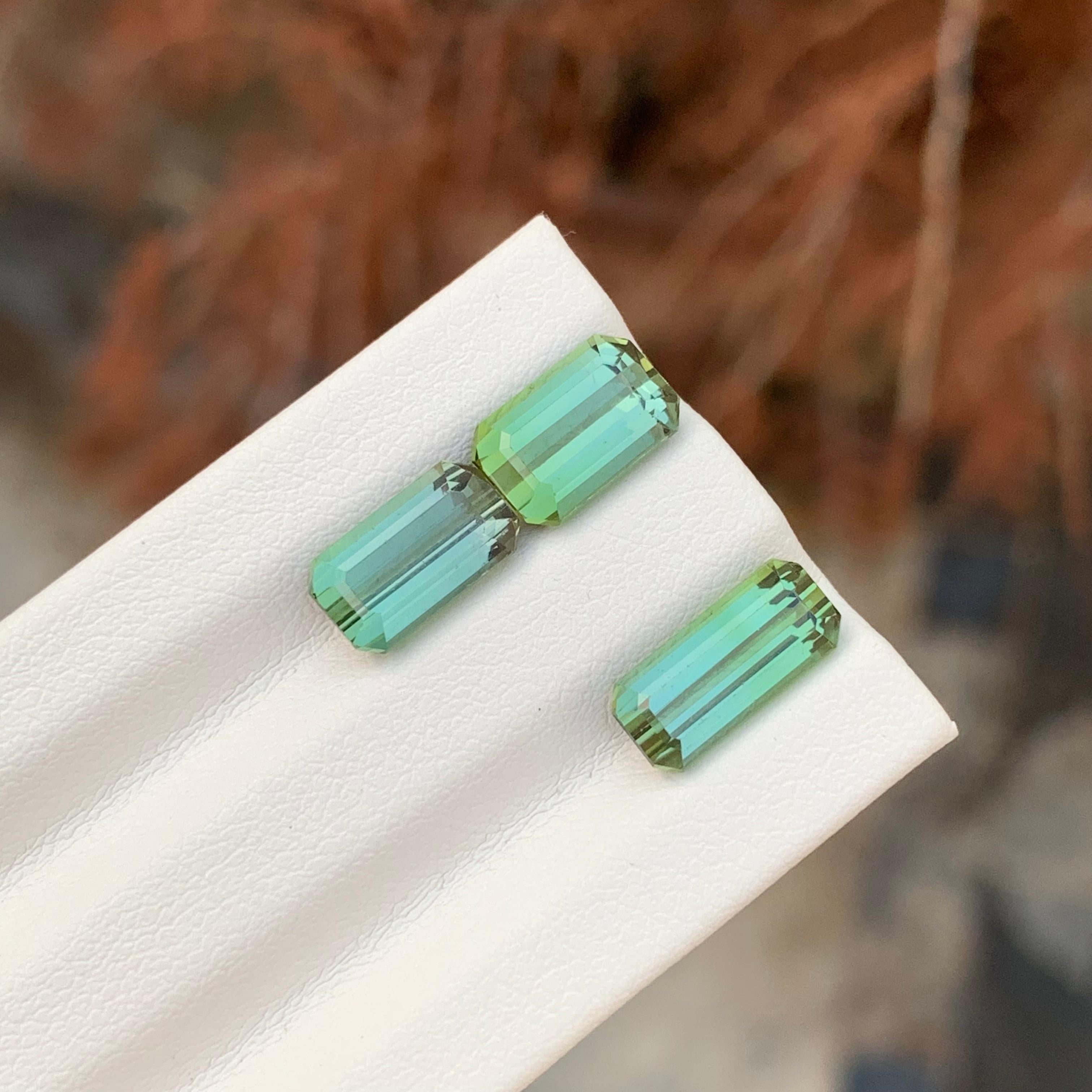 Taille émeraude 6.15 Carat Natural Faceted Green Tourmaline Emerald Shape Gemstone (Tourmaline verte à facettes en forme d'émeraude) en vente
