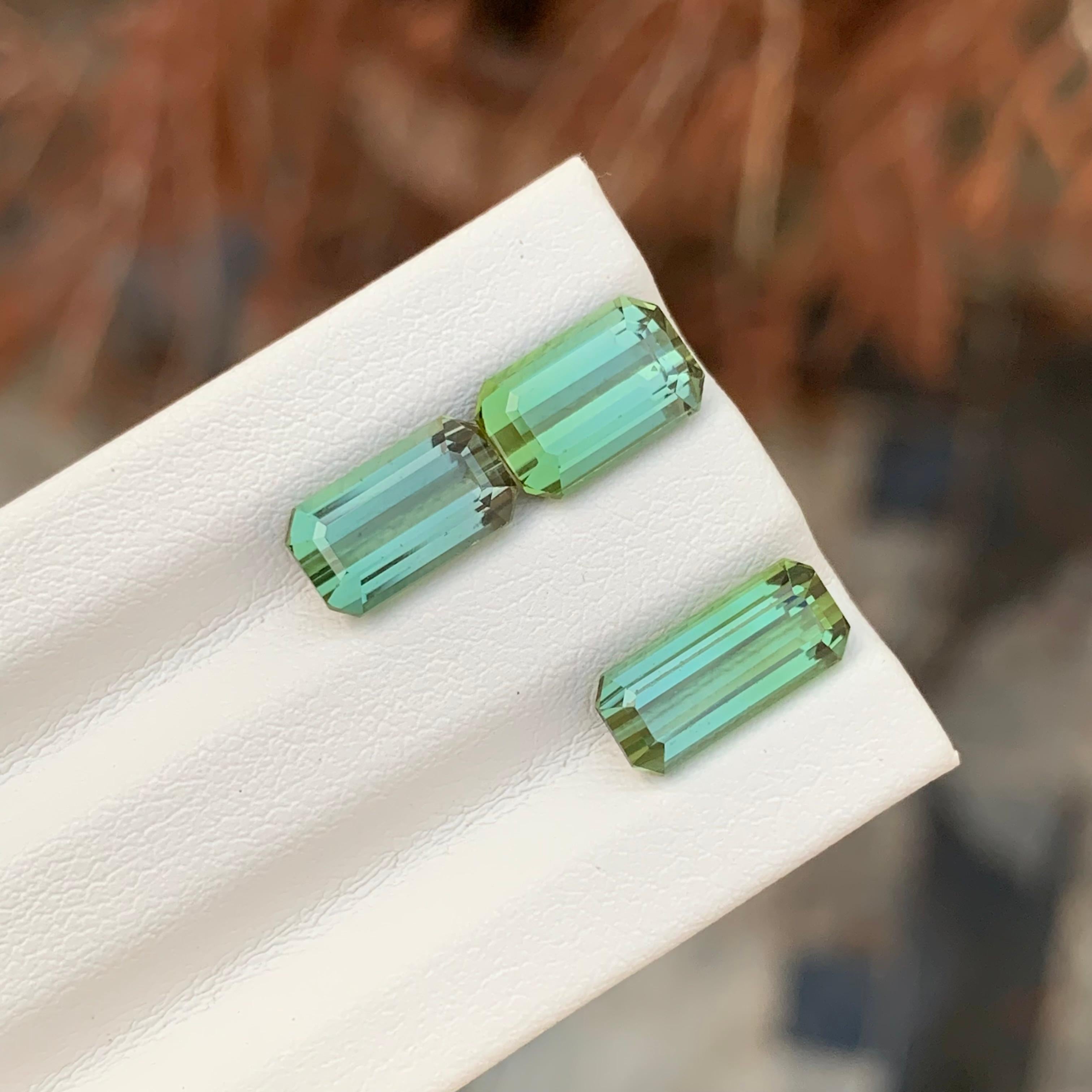 6.15 Carat Natural Faceted Green Tourmaline Emerald Shape Gemstone (Tourmaline verte à facettes en forme d'émeraude) Unisexe en vente