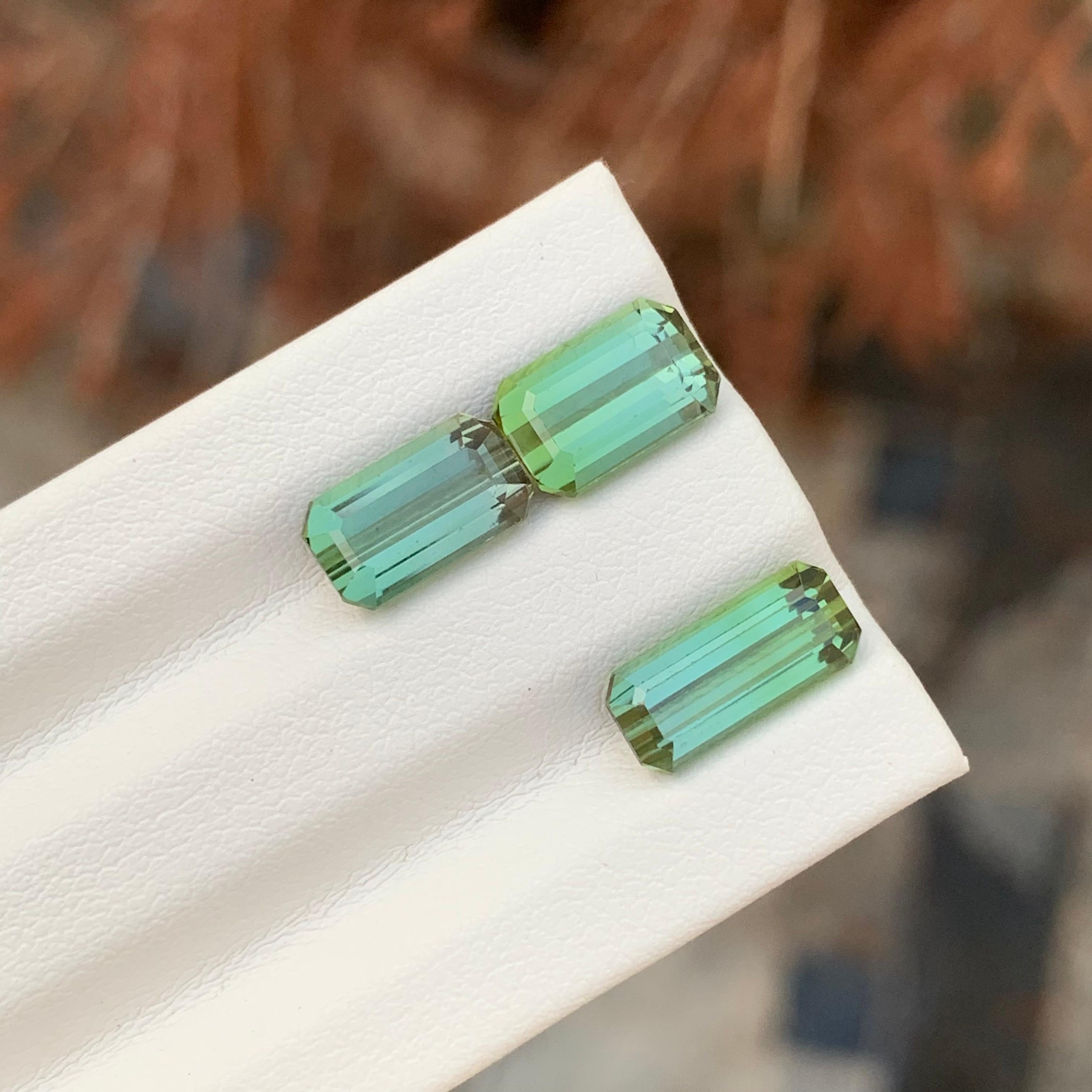 6.15 Carat Natural Faceted Green Tourmaline Emerald Shape Gemstone (Tourmaline verte à facettes en forme d'émeraude) en vente 1