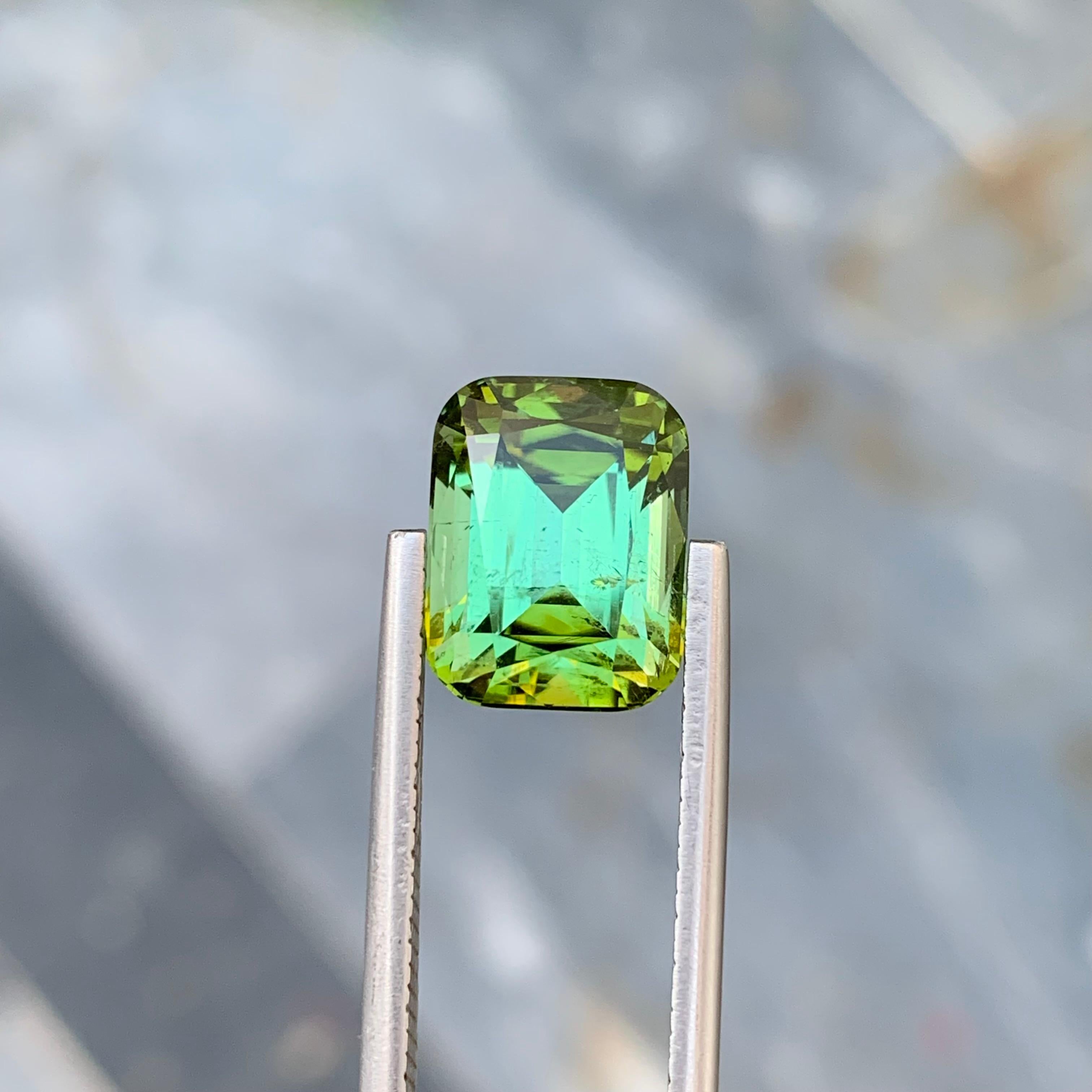 6.15 Carat Natural Loose Green Tourmaline With Lagoon Shade Emerald Shape Gem For Sale 6
