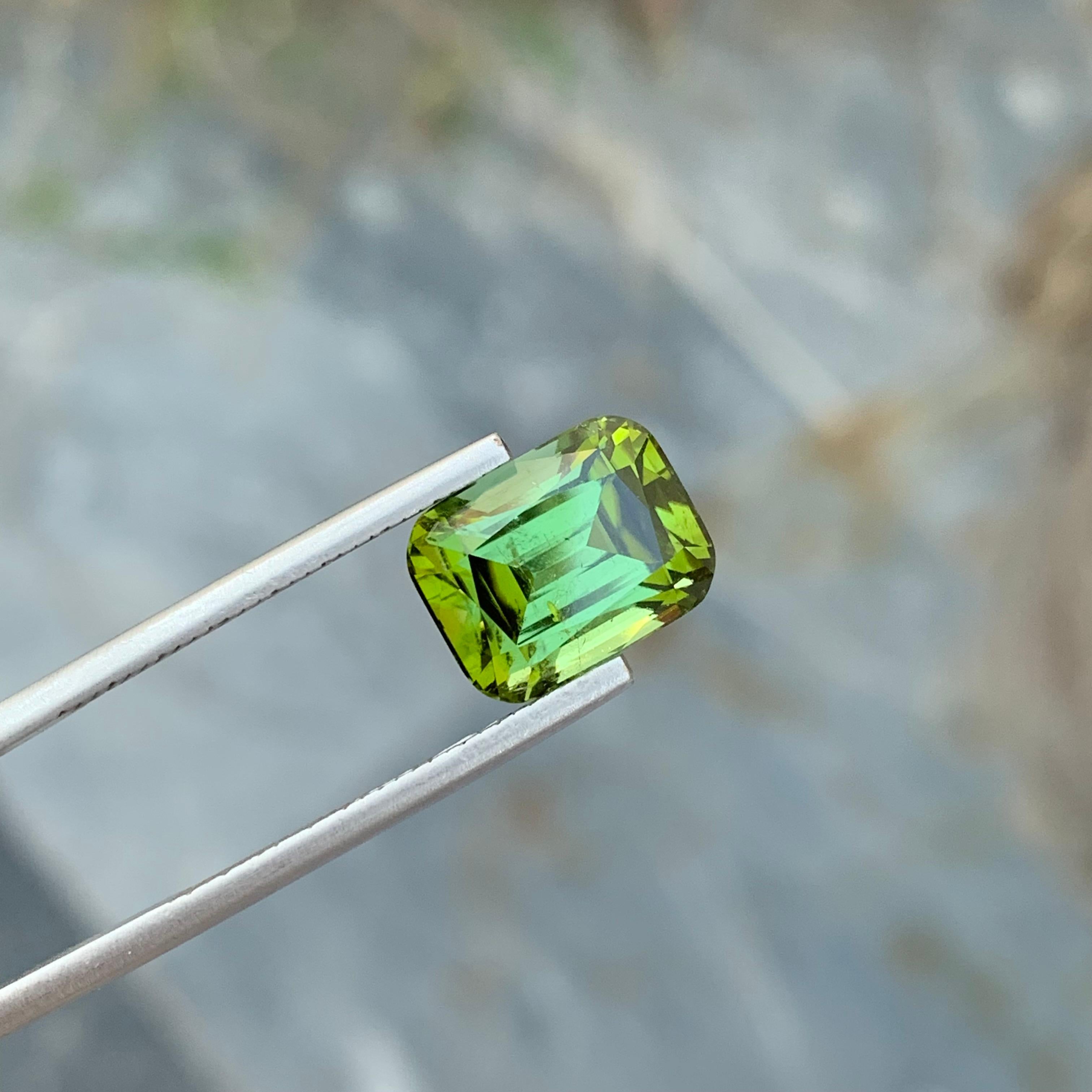 6.15 Carat Natural Loose Green Tourmaline With Lagoon Shade Emerald Shape Gem For Sale 1