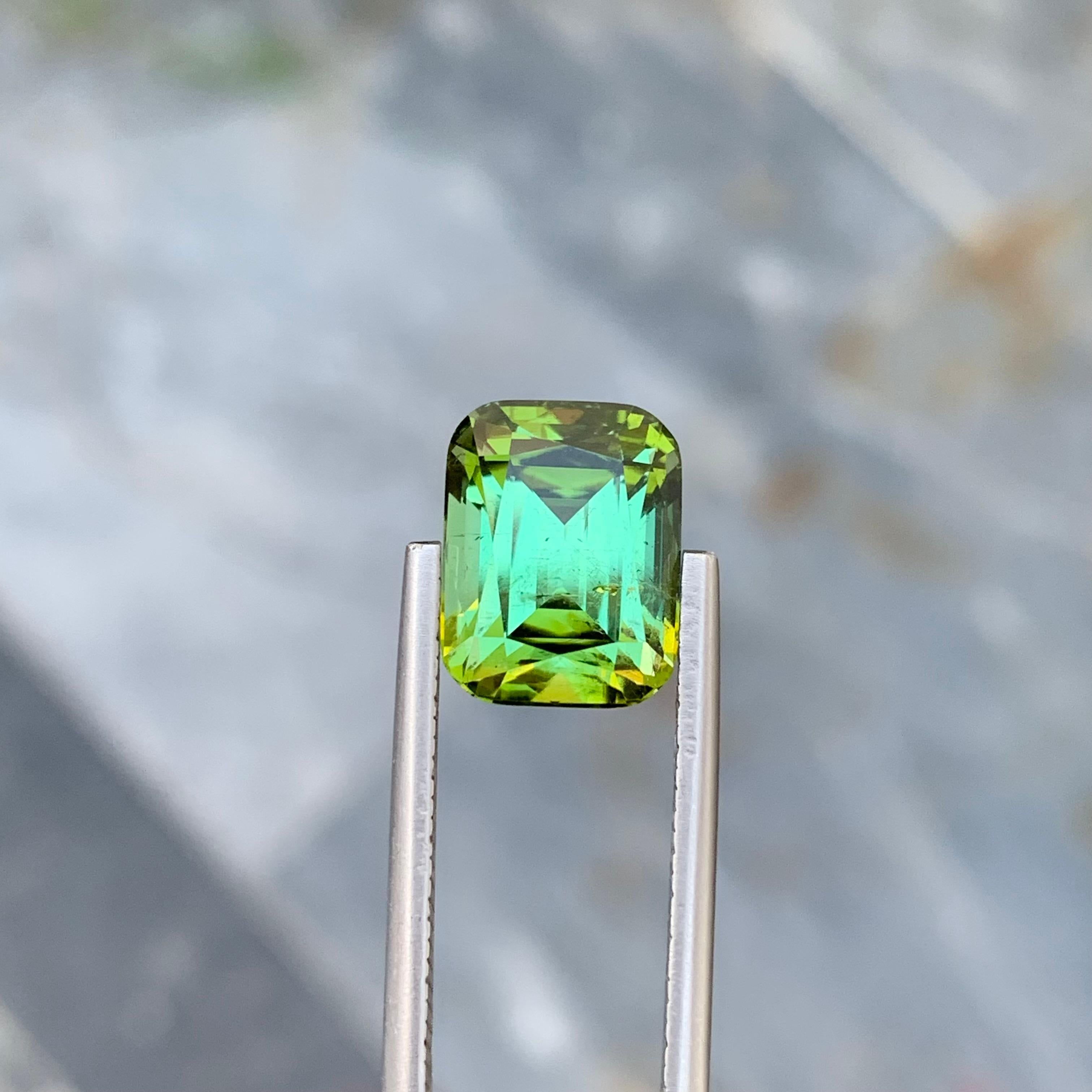 6.15 Carat Natural Loose Green Tourmaline With Lagoon Shade Emerald Shape Gem For Sale 2