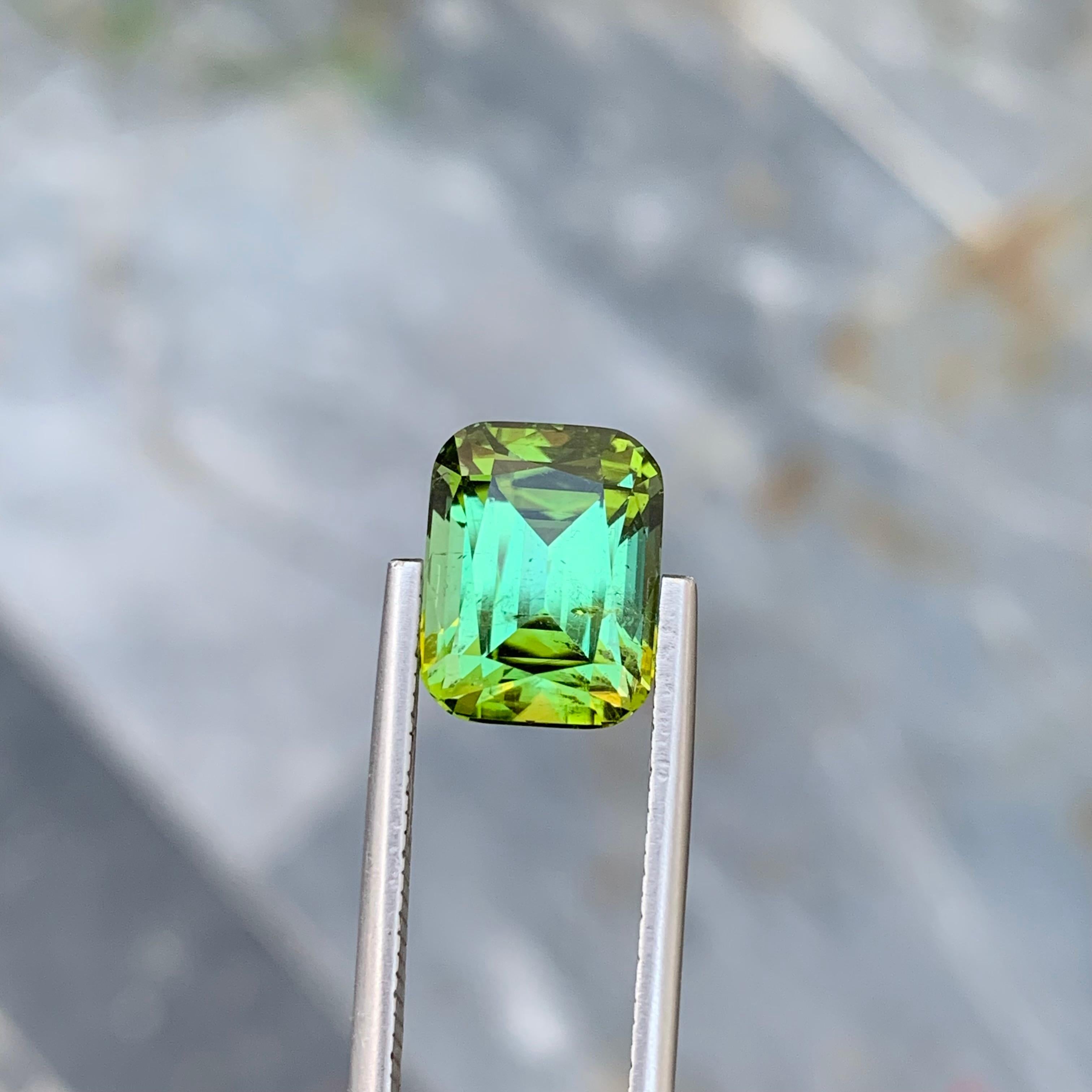 6.15 Carat Natural Loose Green Tourmaline With Lagoon Shade Emerald Shape Gem For Sale 3