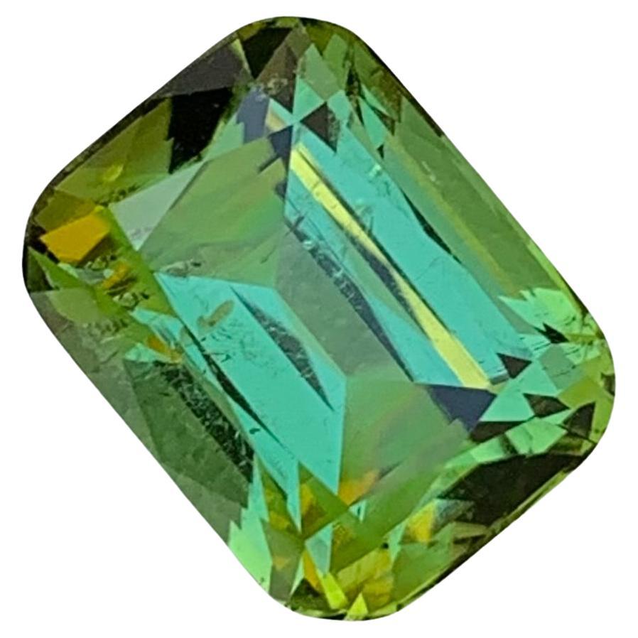 Loose Bright Green Tourmaline

Weight: 6.15 Carats
Dimension: 11.4 x 8.8 x 7.6 Mm
Colour: Bright Green 
Origin: Afghanistan
Certificate: On Demand
Treatment: Non

Tourmaline is a captivating gemstone known for its remarkable variety of colors,