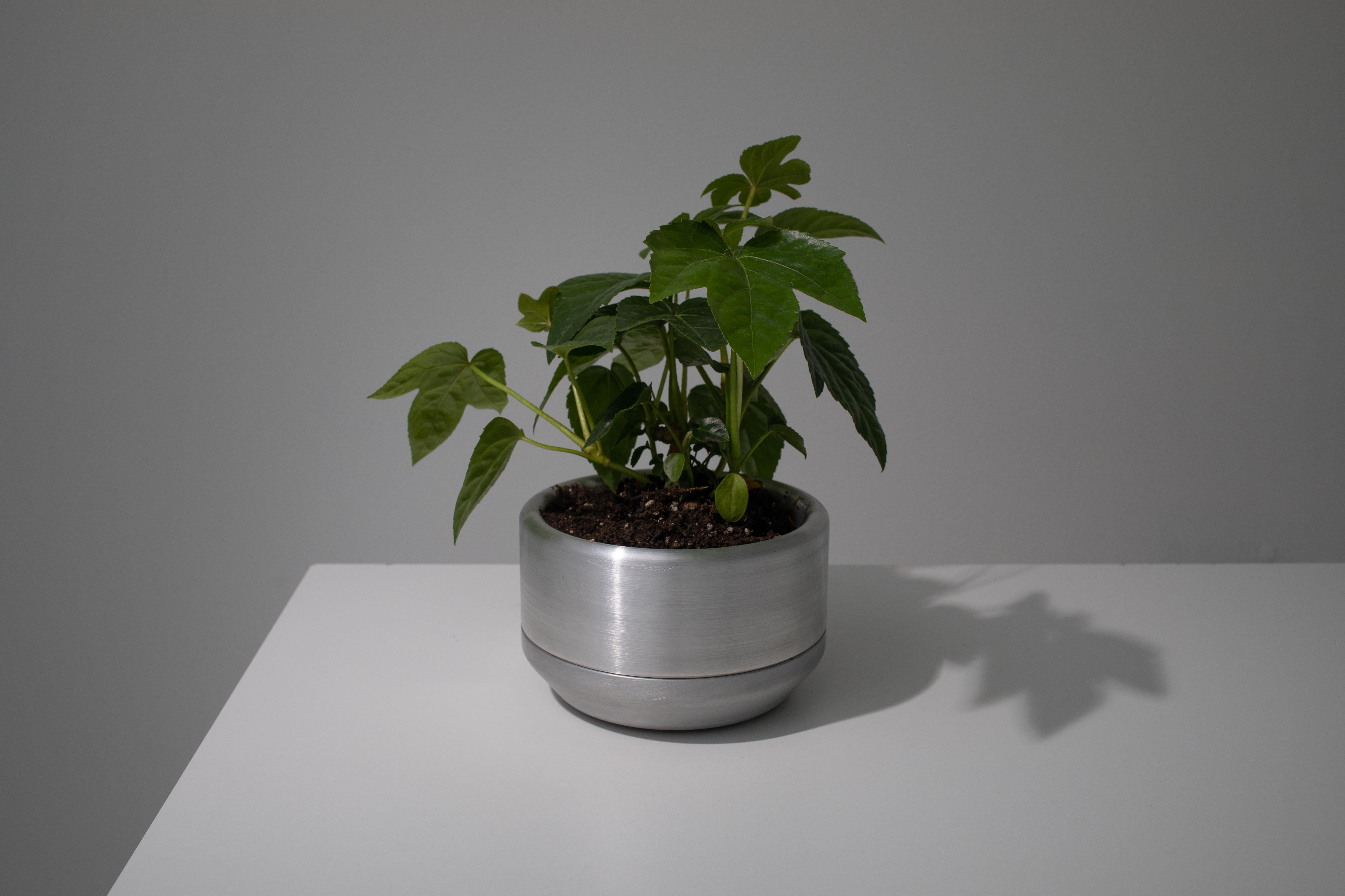 CNC milled and spun aluminum planter with clear anodized finish. The main body of the planter is set on a loose spun aluminum drainage base. Interior dimensions are 5.5 inches diameter, and 2.75