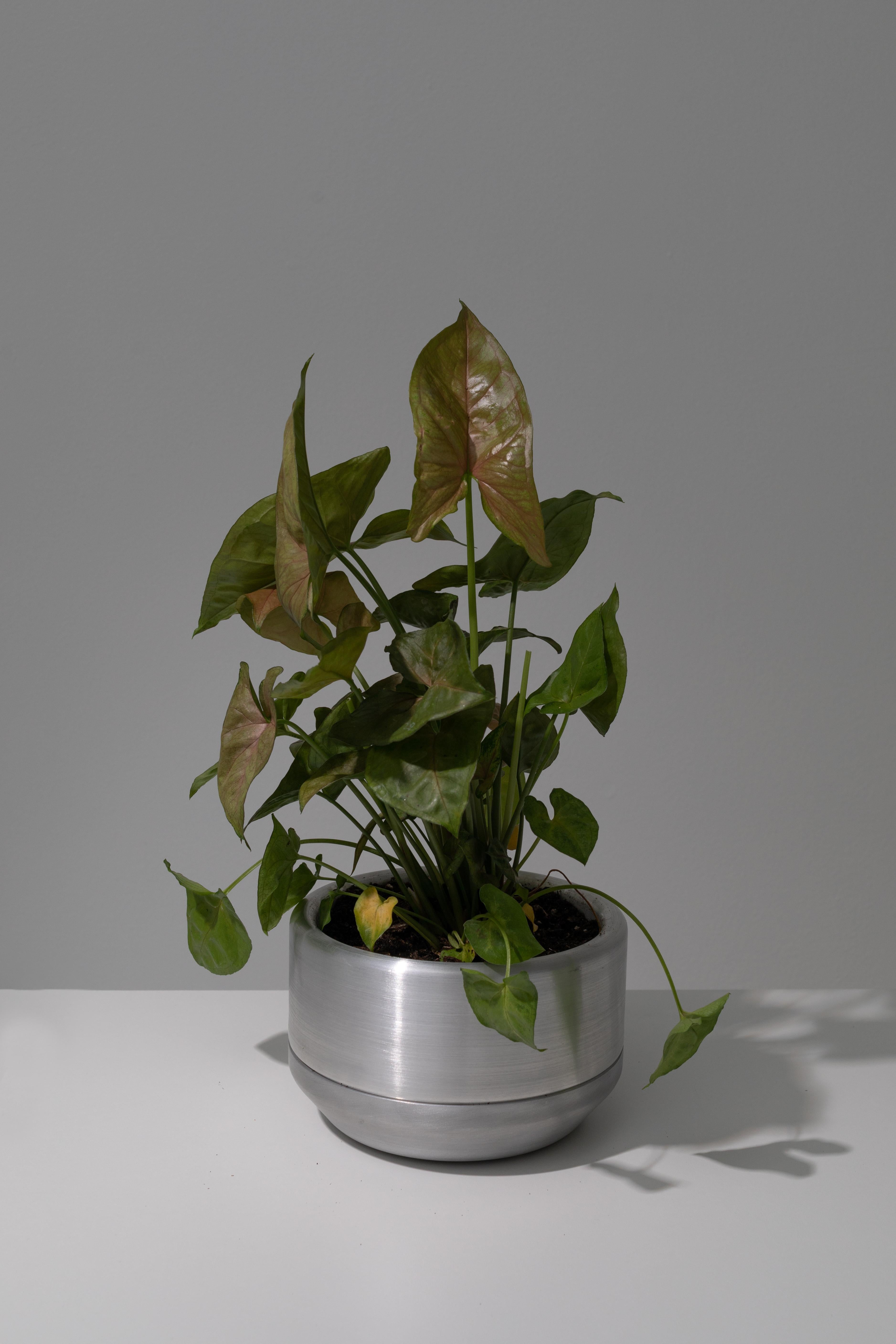 cnc planter