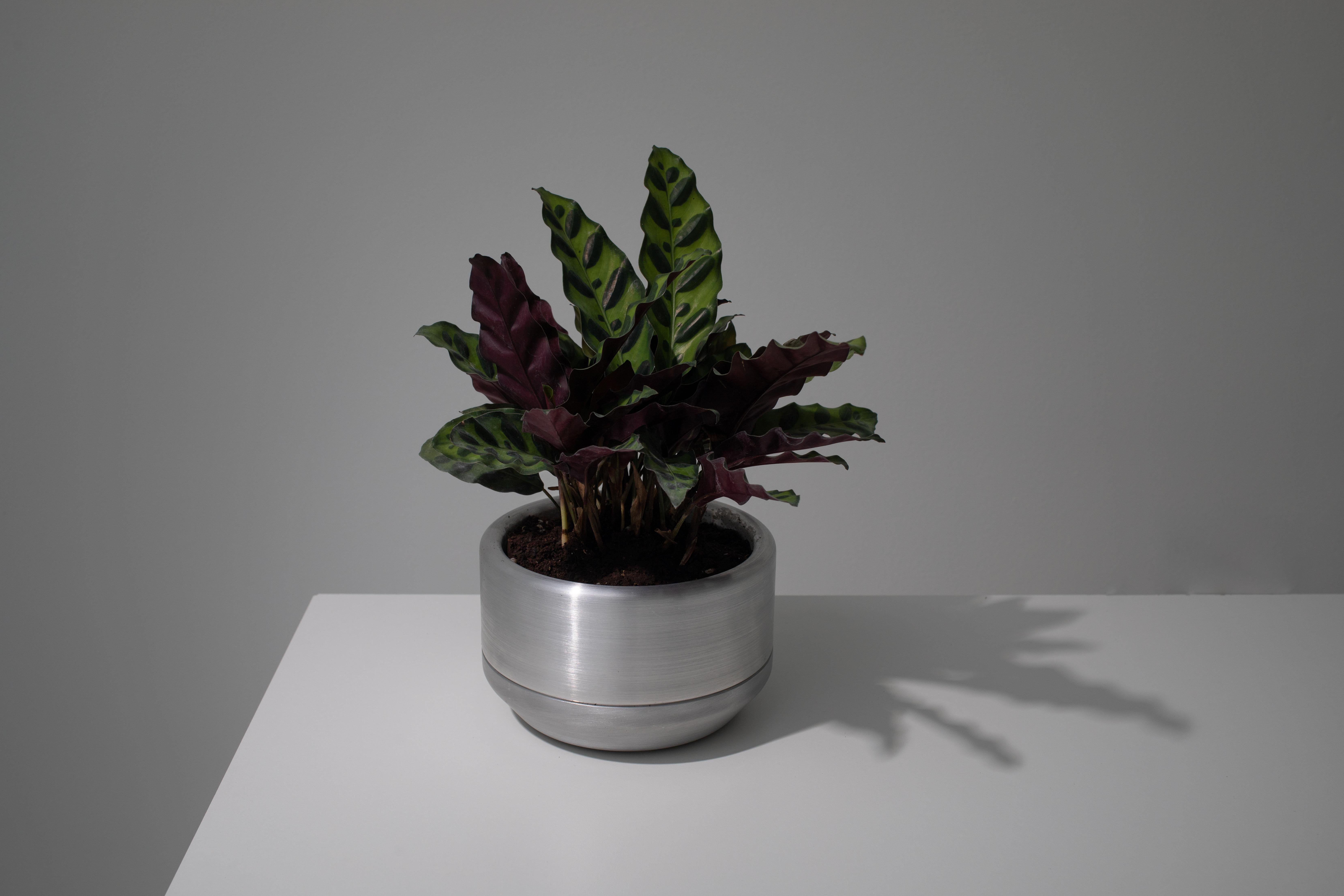 Minimalist 618 Planter in CNC Milled, Spun and Anodized Aluminum