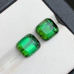 6.19 Carat Rich Green Natural Tourmaline Cushion Cut Loose Gemstones Parcel