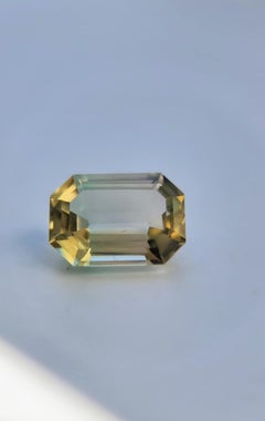 6.1ct Natural Bi-Color Tourmaline – Precision Emerald Cut