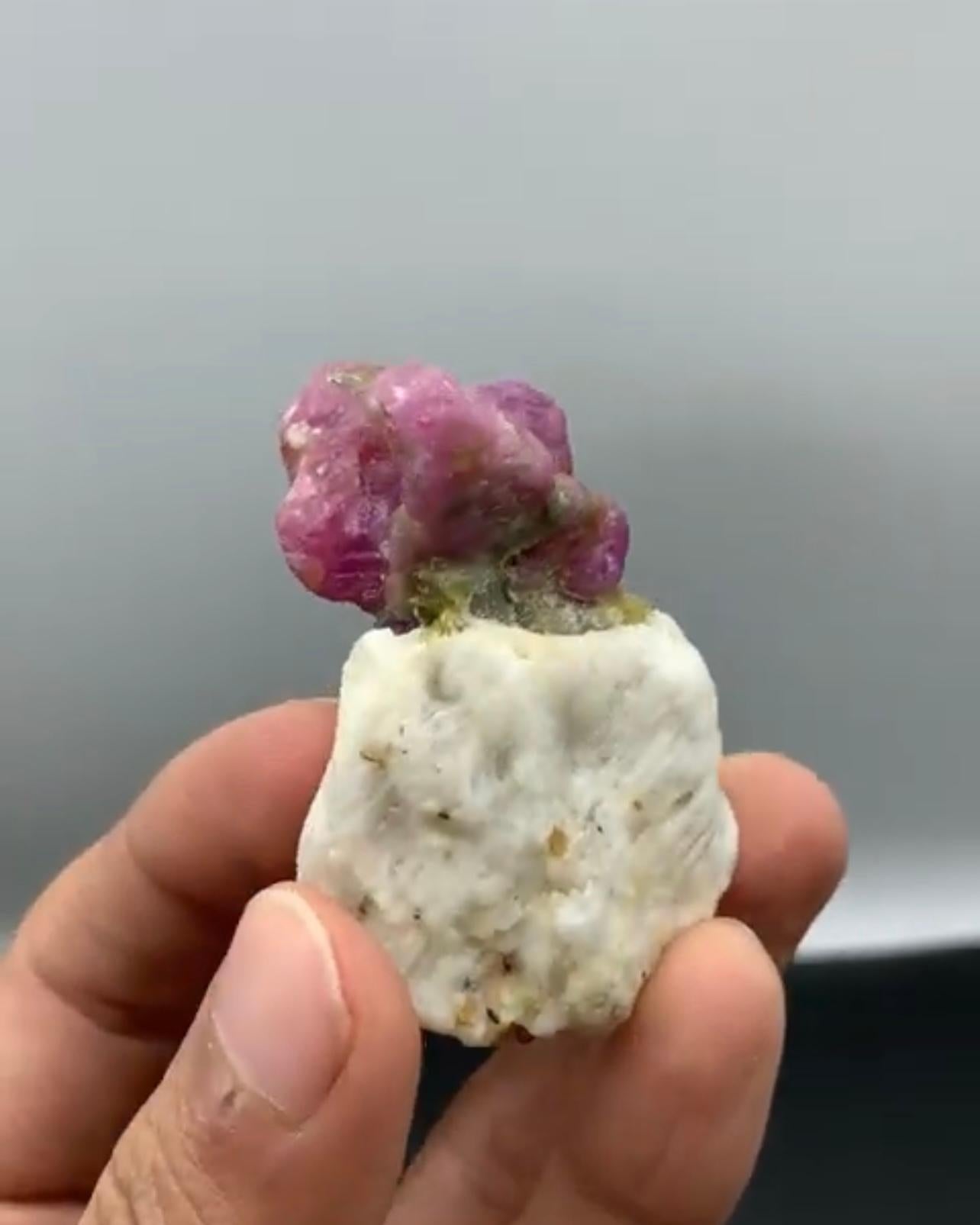 Informationen zum Produkt:

Probenart: Rubinkristalle auf Marmor-Matrix

Gewicht: 62 Gramm

Abmessungen: H: 5,8 x B: 5 x T: 1,8 cm

Herkunft: Jagdalak Mine, Bezirk Surobi, Provinz Kabul, Afghanistan

Behandlung: Keine

Beschreibung:

Diese aus