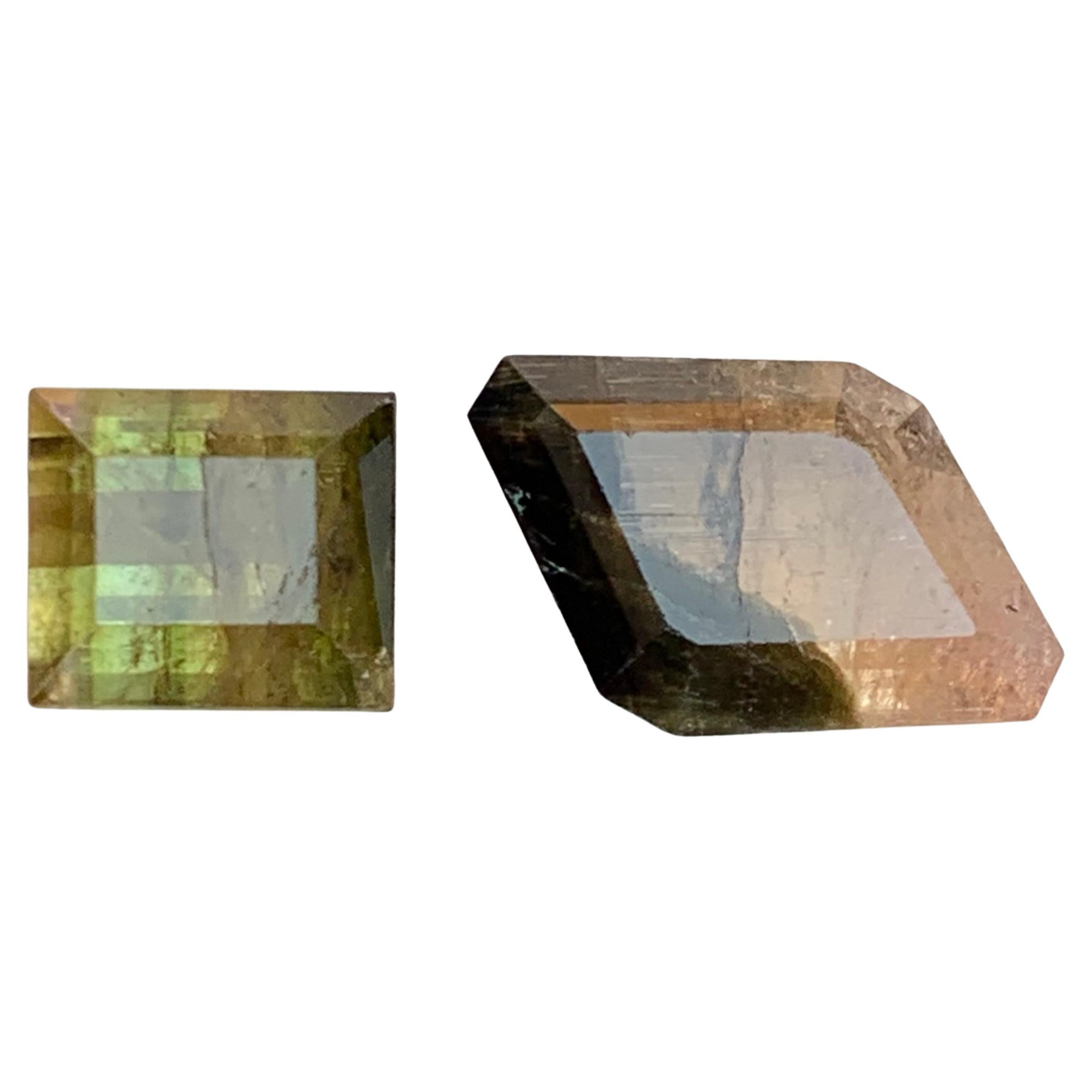 6.22 Ct Bicolor Natural Tourmaline, Lozenge 
Baguette Cut Loose Gemstones Jewel im Angebot