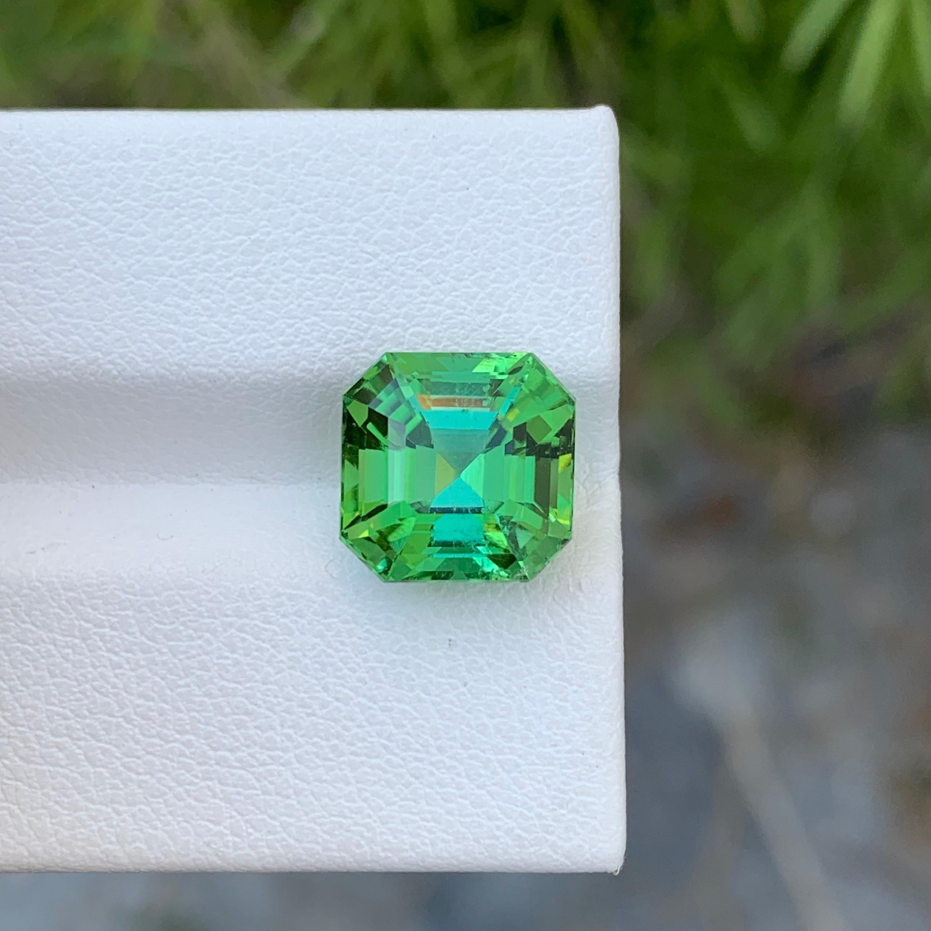 6.25 Carat Natural Loose Blueish Green Tourmaline Asscher Cut Gem For Sale 8