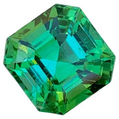 Tourmaline naturelle non sertie vert bleuté taille Asscher de 6,25 carats